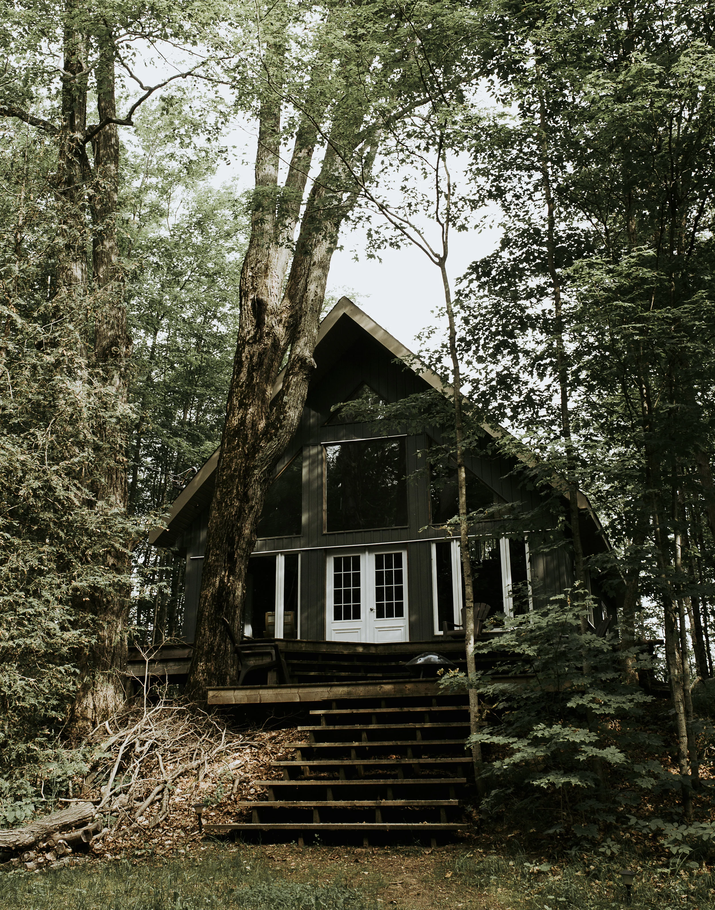 cottage-01nosig.jpg