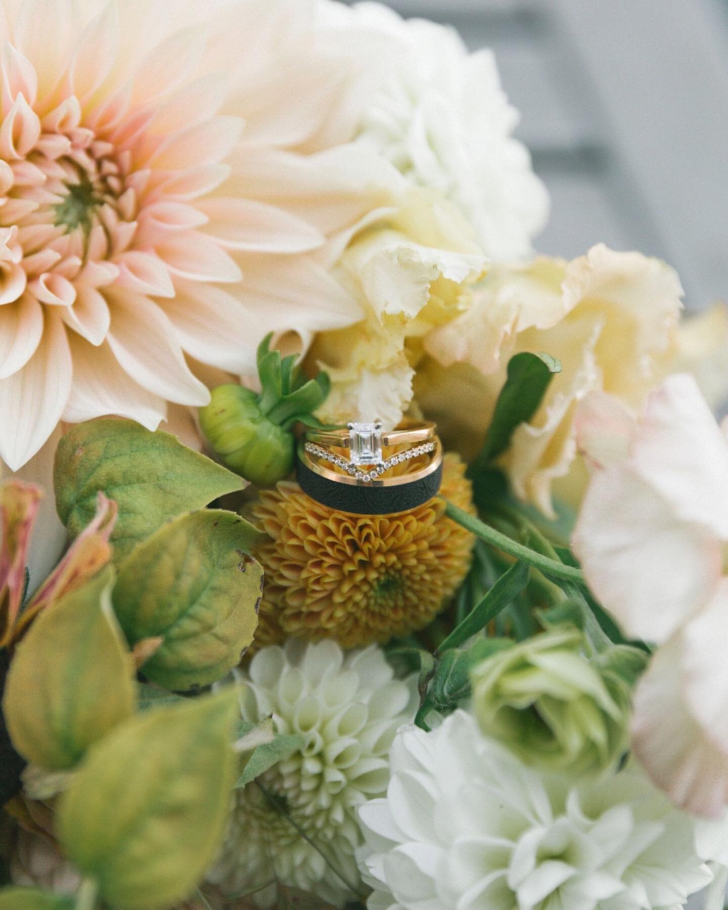 Peter + Shasta&rsquo;s intimate Friday afternoon wedding at @joiaonmain ✨
.
.
.
#whitepineimaging #intimatewedding #intimateweddingphotographer #smallweddings #summerwedding #newmarketontario #newmarketweddingphotographer #mainstreetnewmarket #ontari