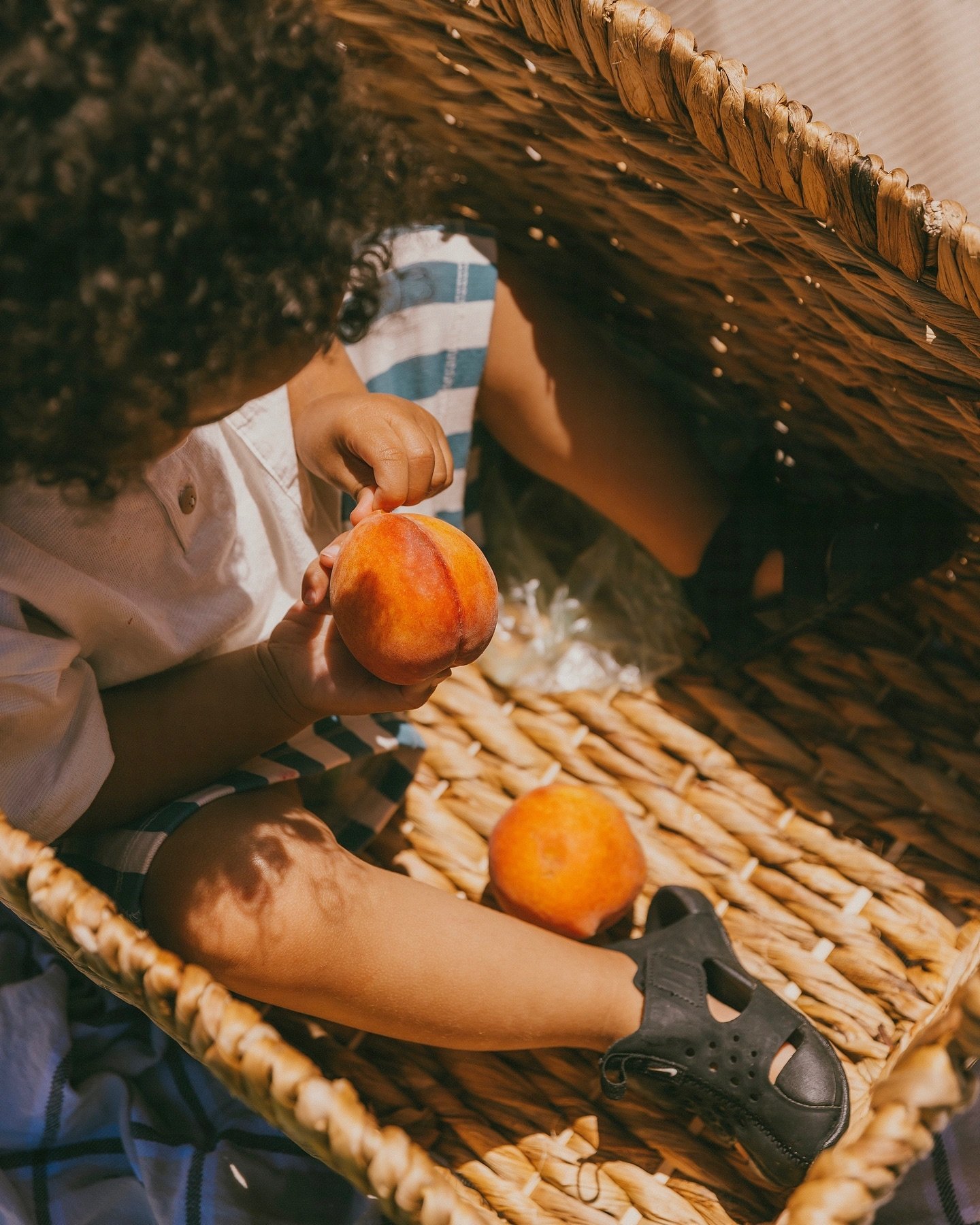 afternoon picnics by the lake ⛵️

capturing previous wedding clients with their lil love bundles is so special, and I think every wedding photographer can agree. to be trusted with something so important, witnessing + documenting the start of a new f