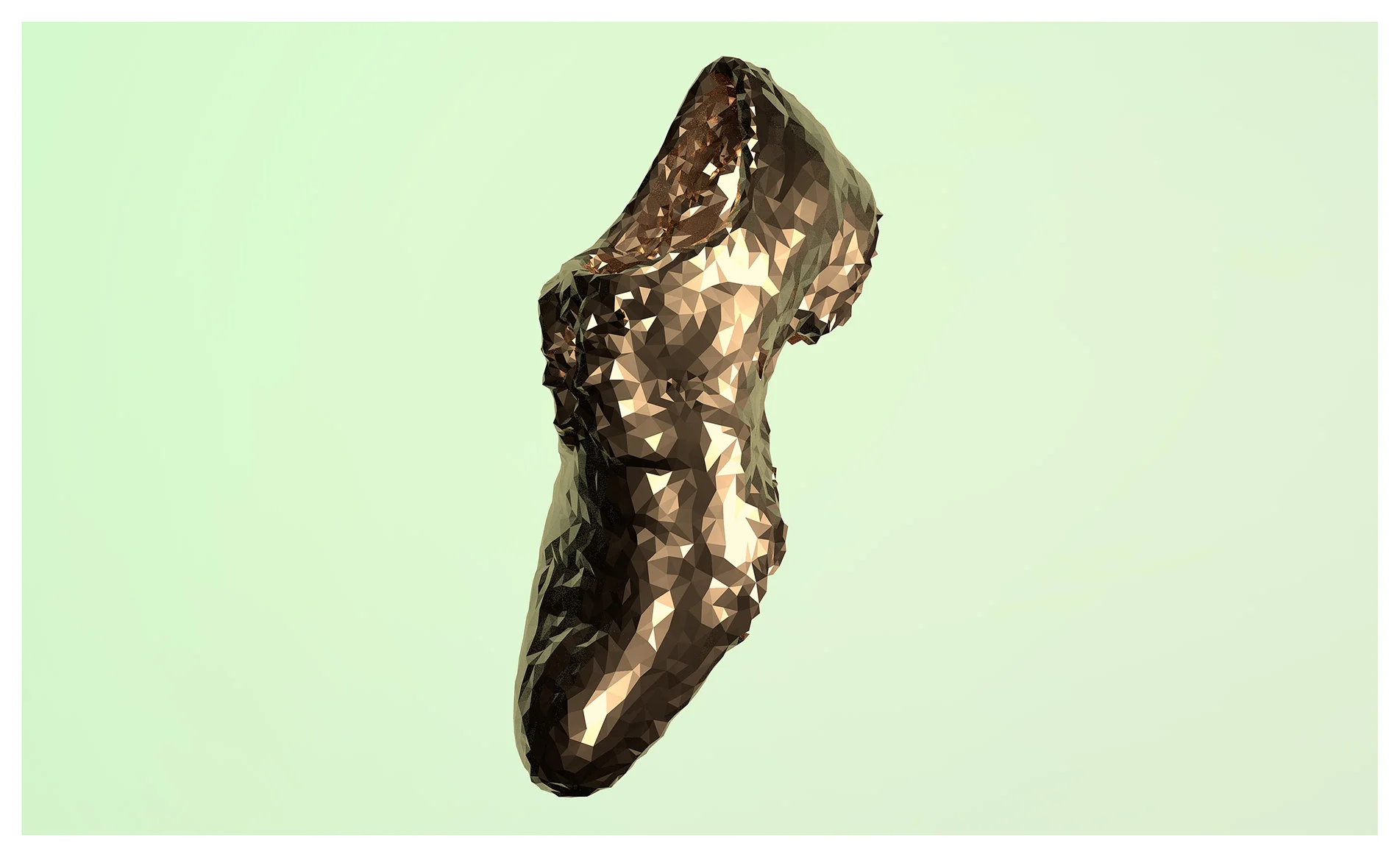 model-shoe-after-mesh.jpg