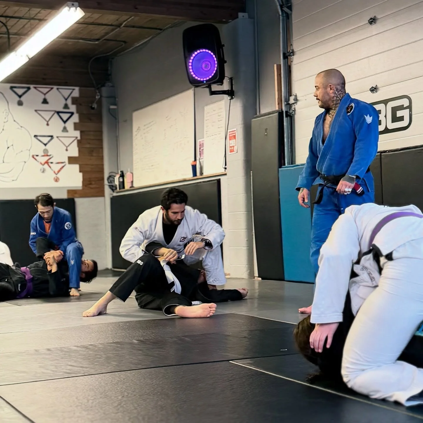 Tr1be #sbg #bjj #roll #pma #yeg