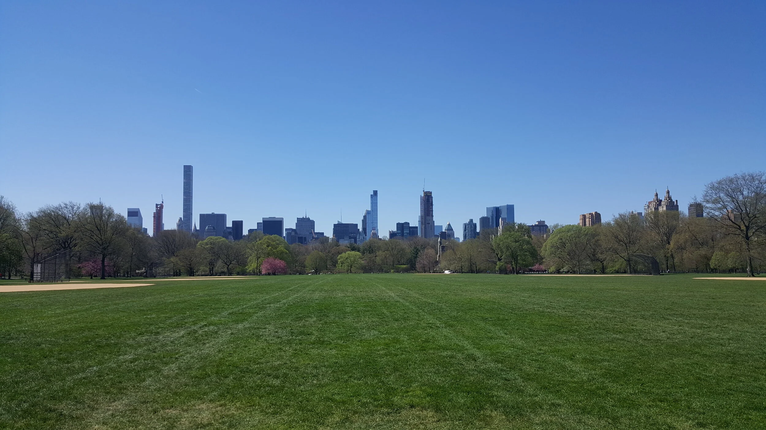 genlime homepage.jpeg