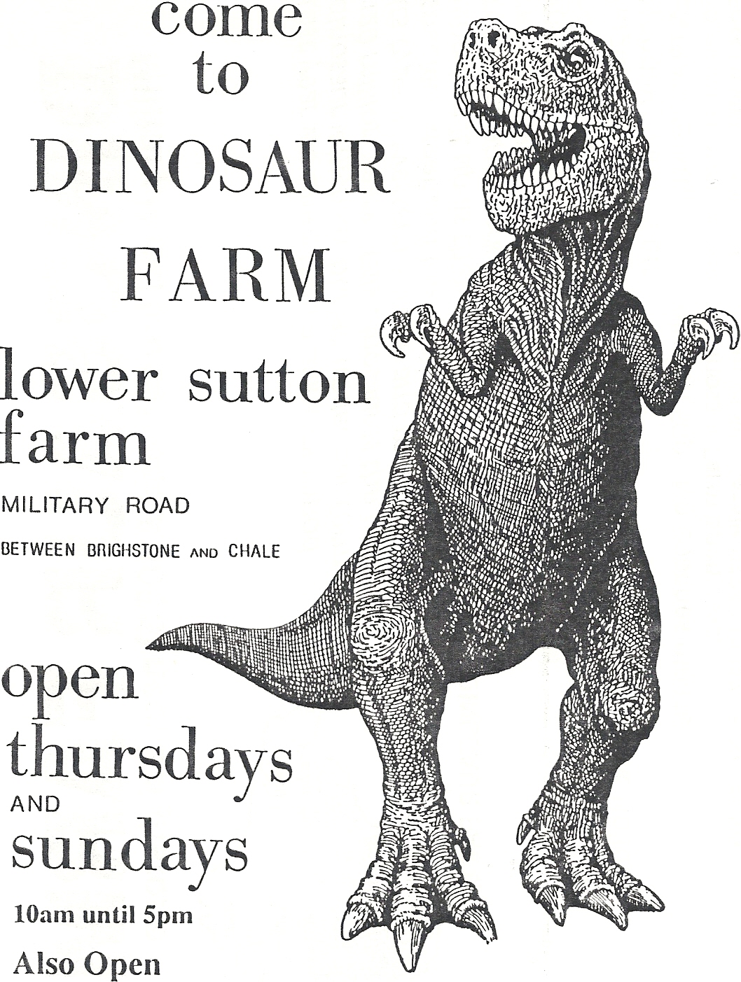 Dinosaur Farm Logo 1993