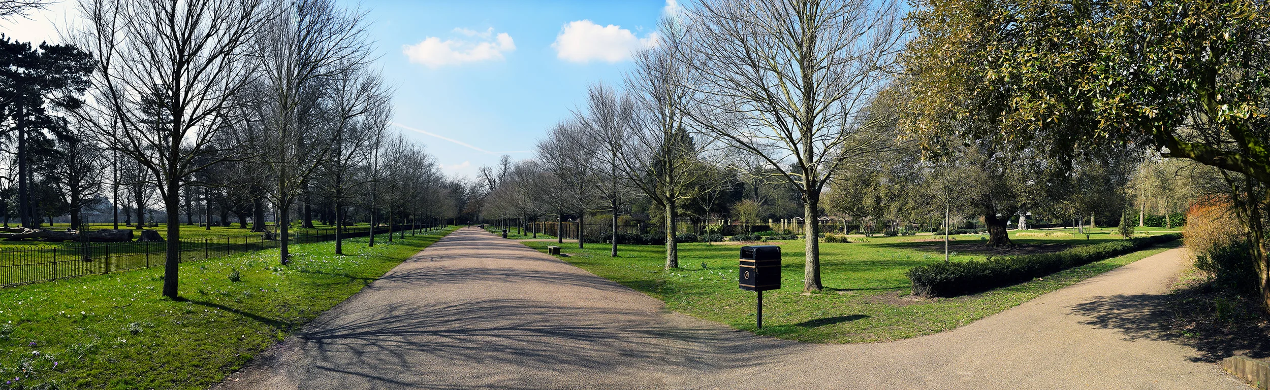 panorama2.jpg