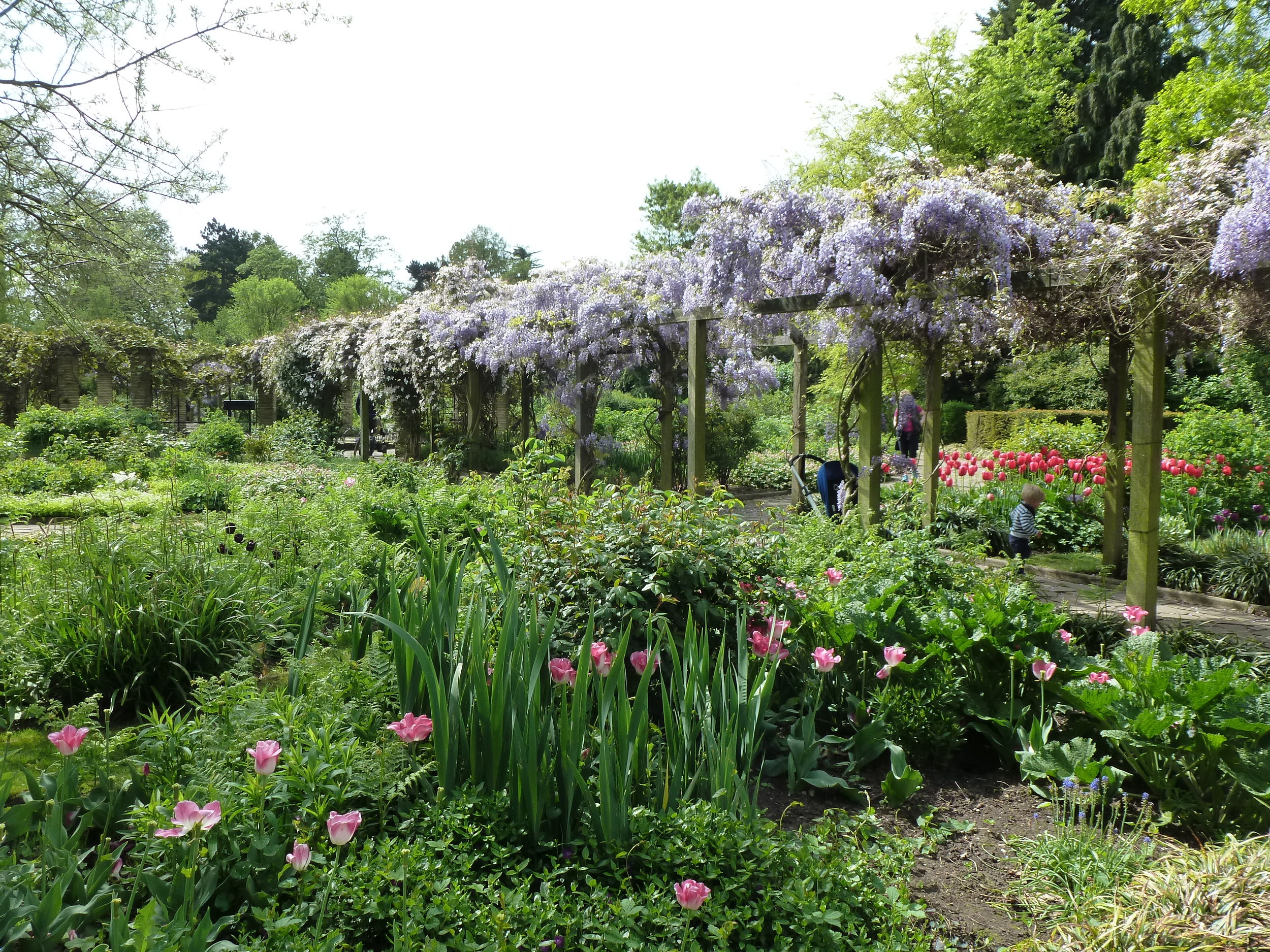  The Park comprises of a variety of landscapes most of them planted with horticultural specimens of shrubs and trees. In the center of the Park is a formal garden named after the prominent horticulturist J.J. Sexby. The Sexby Garden.&nbsp; 