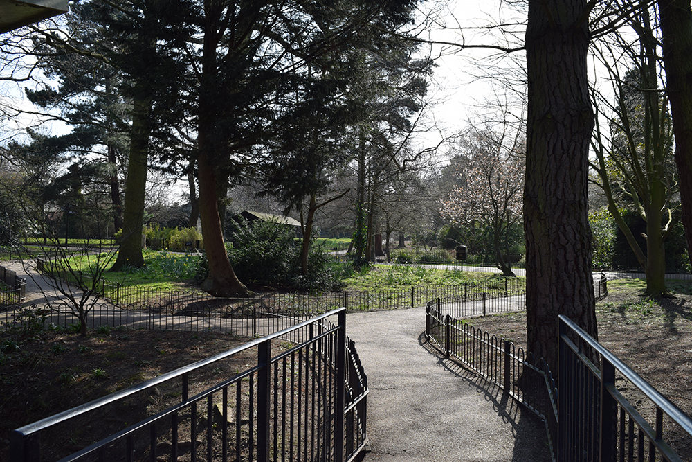  Peckham Rye Park is designated a Borough site of Importance for Nature Conservation (SINC). The Park has a mixture of habitats from a lake, streams to woodland, specimen trees and meadows. 