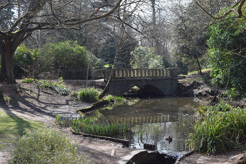  &nbsp;The Park is the only Park in Southwark to have a stream or rivulet running through it. These features support kingfishers and rare lamprey. A project to improve the area on the western edge of the Park where the River Peck has surfaced is unde