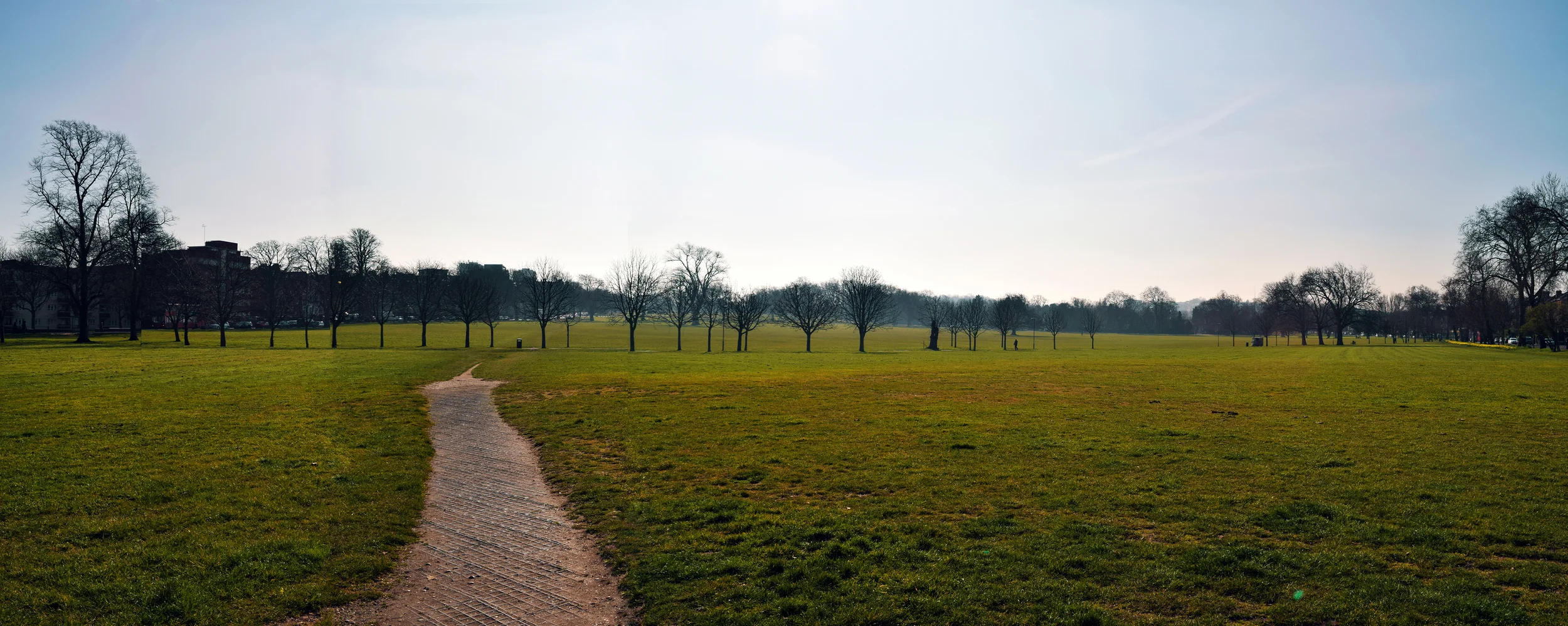 The large expanses of amenity grassland are dominated by perennial rye grass. To the west of the grassland wildflower planting has been carried out.