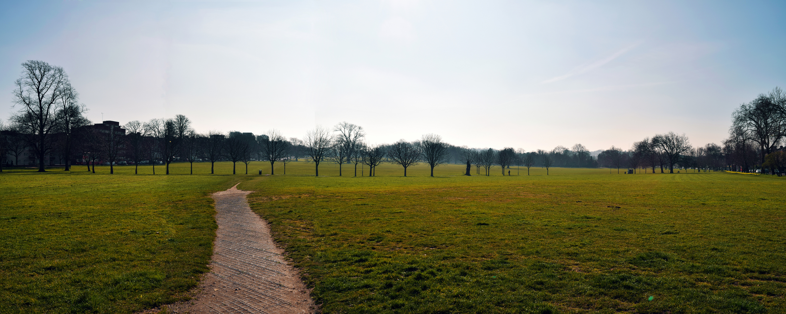  The large expanses of amenity grassland are dominated by perennial rye grass. To the west of the grassland wildflower planting has been carried out. 