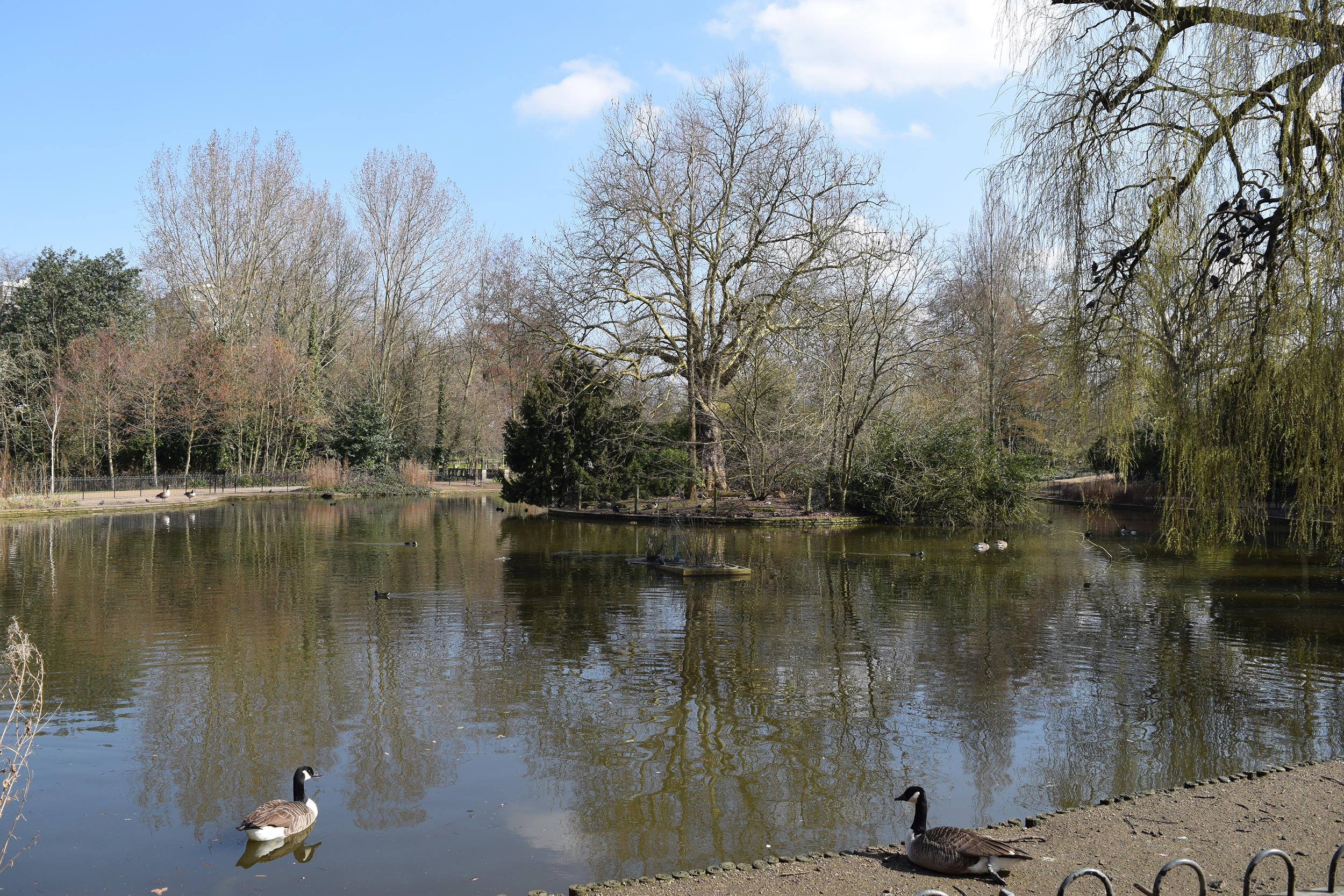  A relatively large lake and six ponds are to be found within the ornamental areas of the Park. Four of the ponds are situated in a 'landscaped valley' and are linked by a stream. The lake lies towards the east, with a central island planted with shr