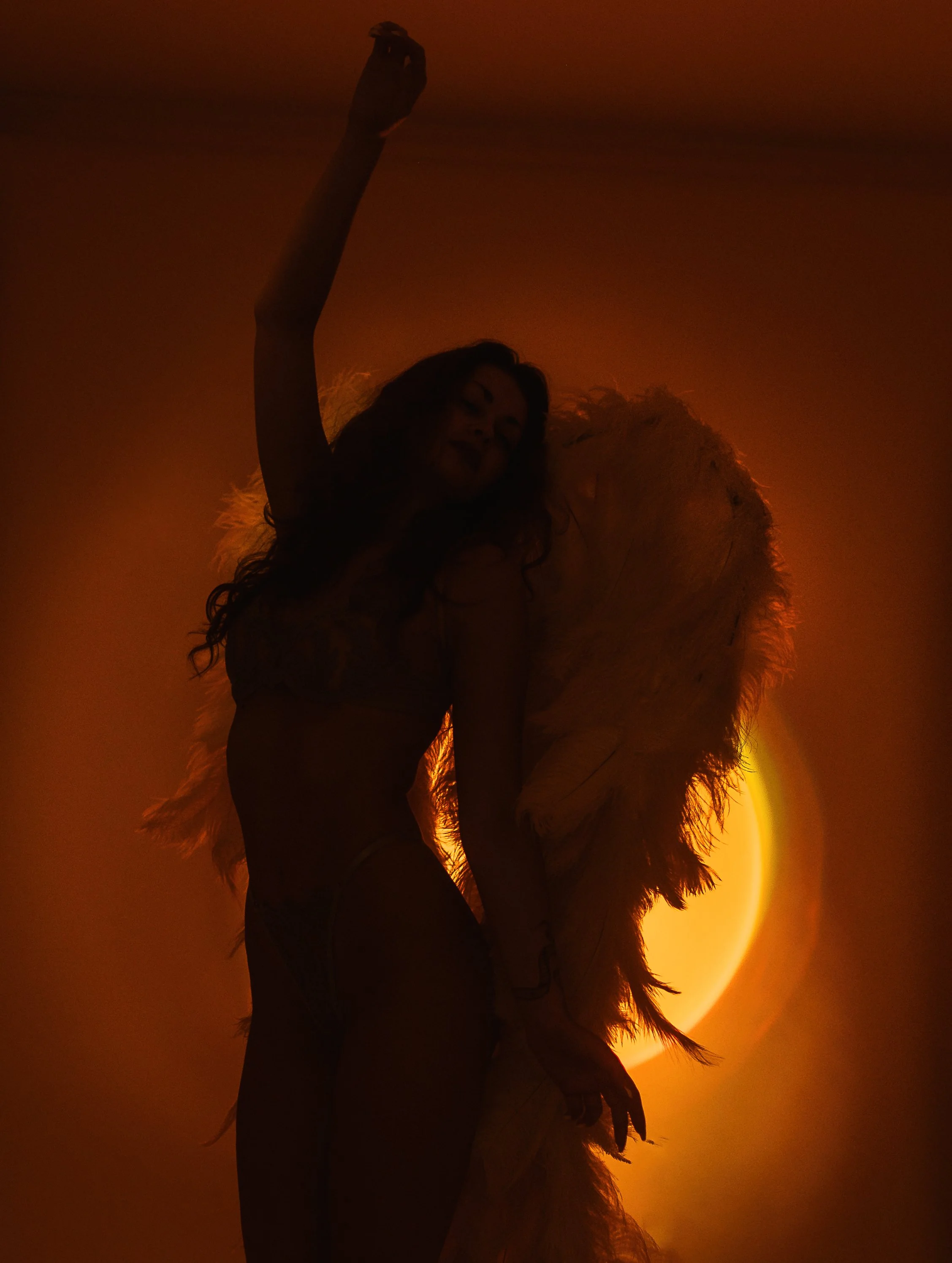 Silhouetted woman with large feathered wings standing in front of a glowing yellow-orange sun.