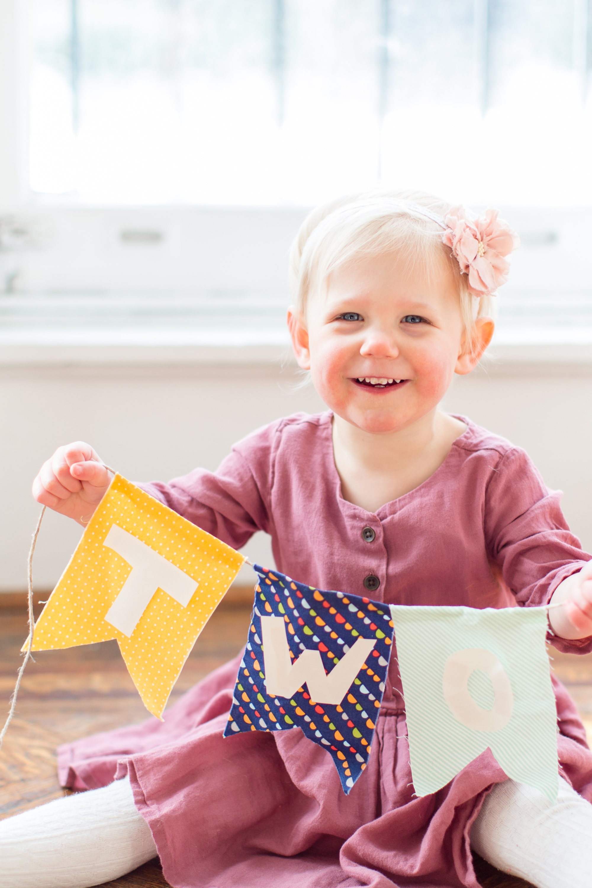 Adilynn 2nd Birthday 2016-24_anna grace photography maryland family photographer photo.jpg