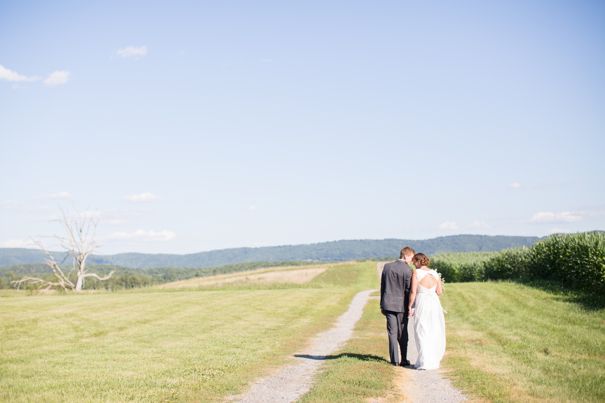 3-Tucker Wedding Bride & Groom Portraits-520_anna grace photography virginia wedding photographer sinkland farms.jpg