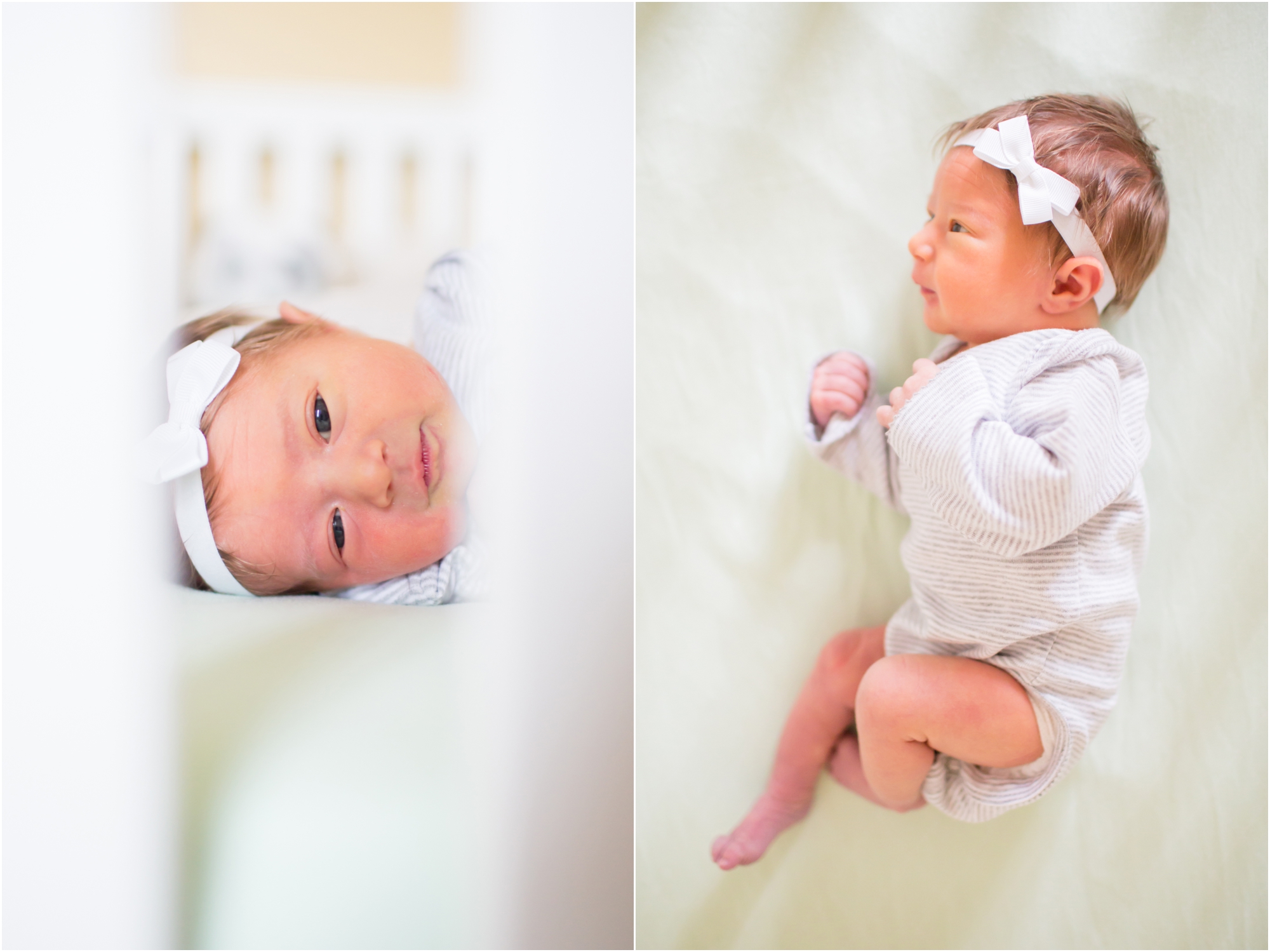 Benesch Newborn-29_anna grace photography maryland newborn photographer photo.jpg