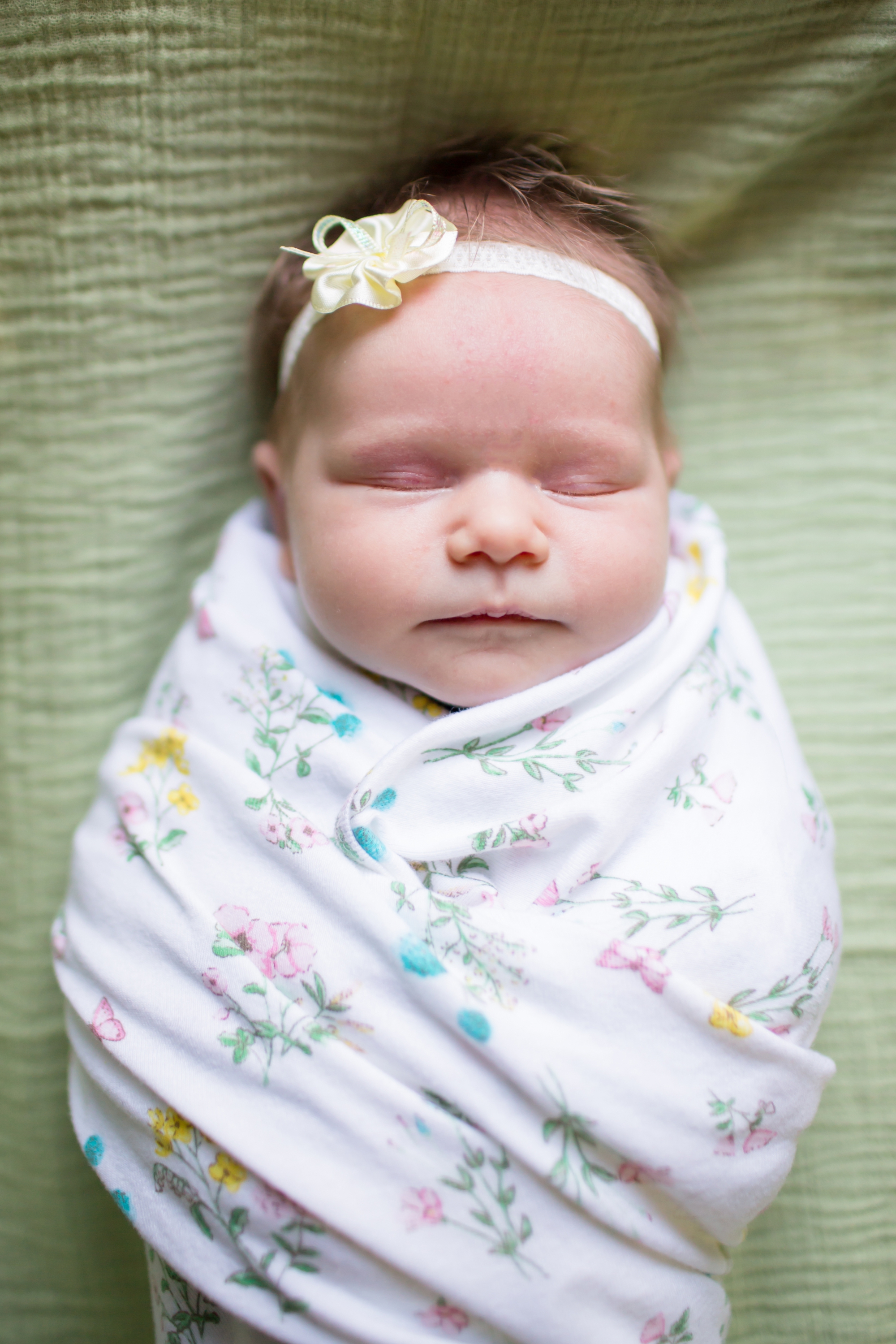 Weaver Newborn 2015-11_anna grace photography maryland family newborn photographer baltimore photo.jpg