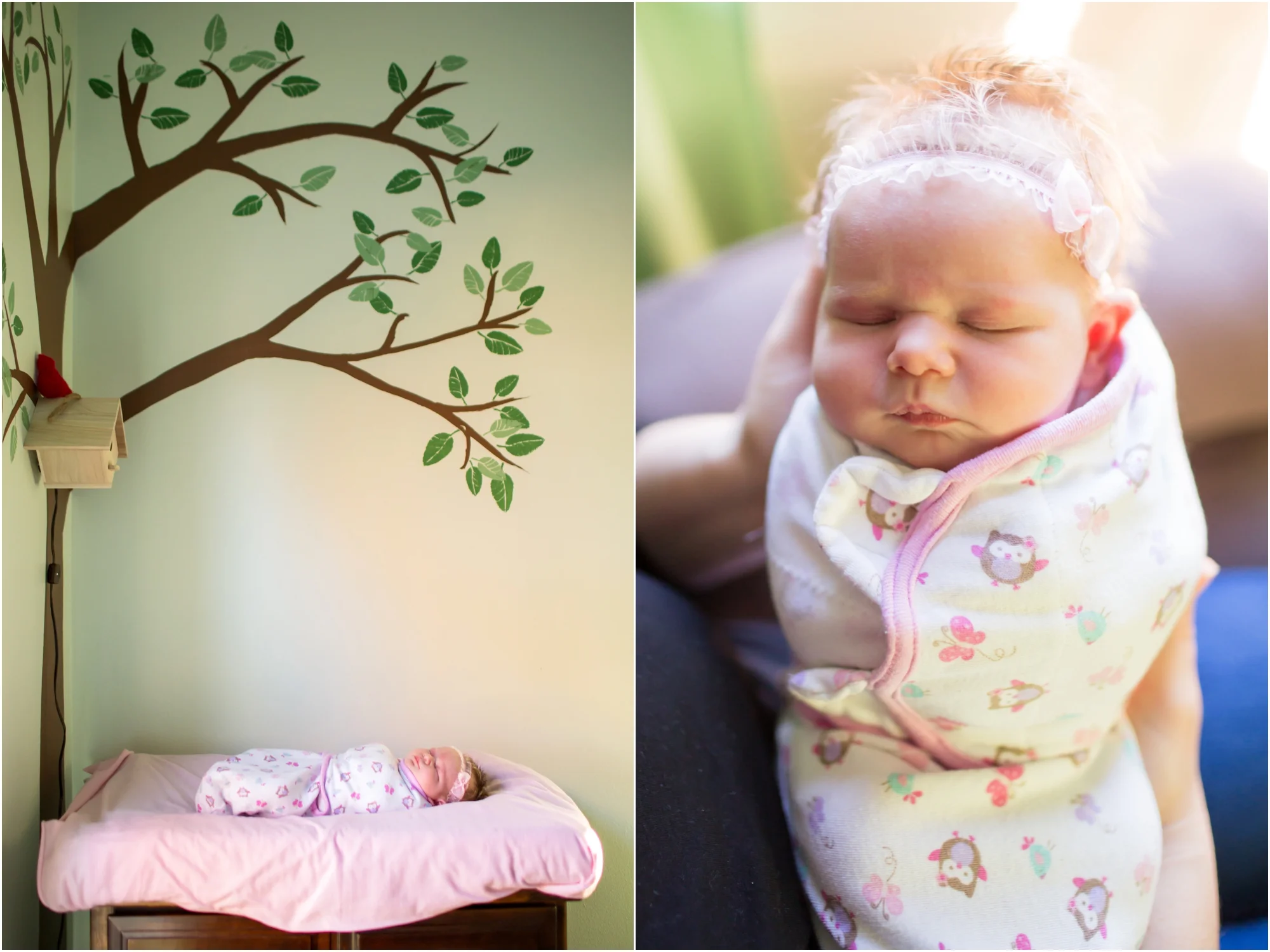 Weaver Newborn 2015-85_anna grace photography maryland family newborn photographer baltimore photo.jpg