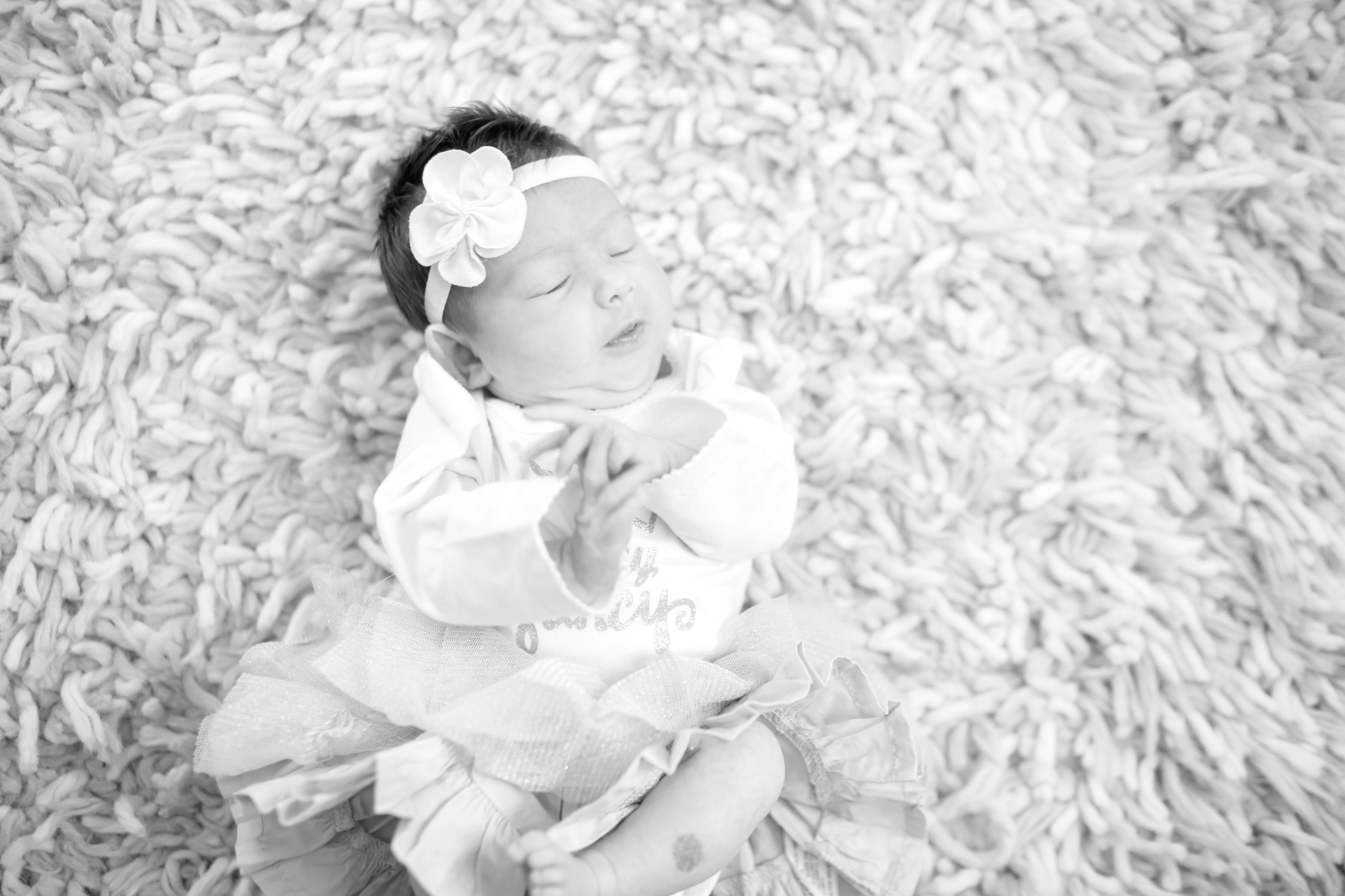 Erdman Newborn-20_anna grace photography maryland family newborn photographer cockeysville photo.jpg