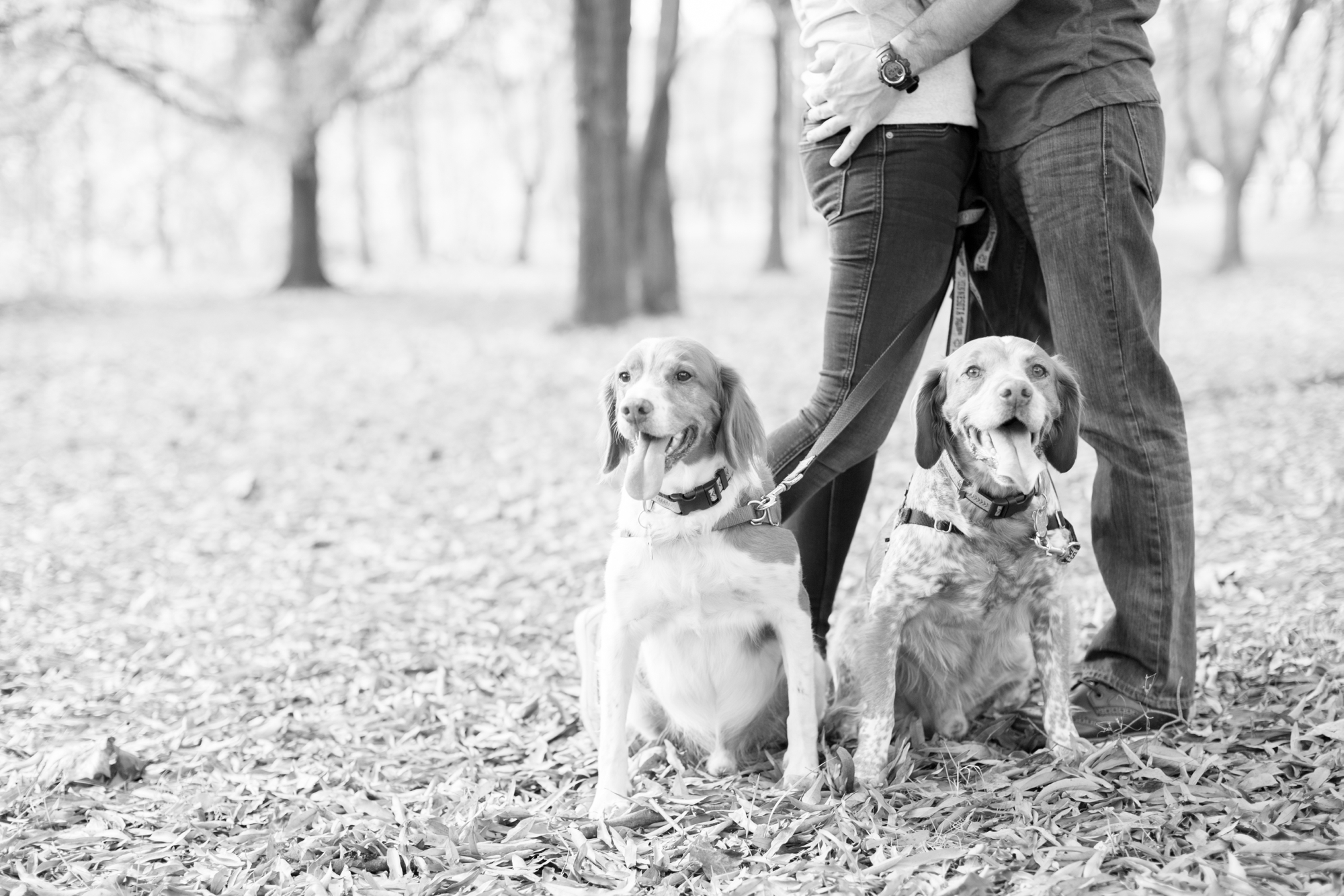 Meg & Paul Engagement-8_anna grace photography virginia engagement photographer old town alexandria.jpg