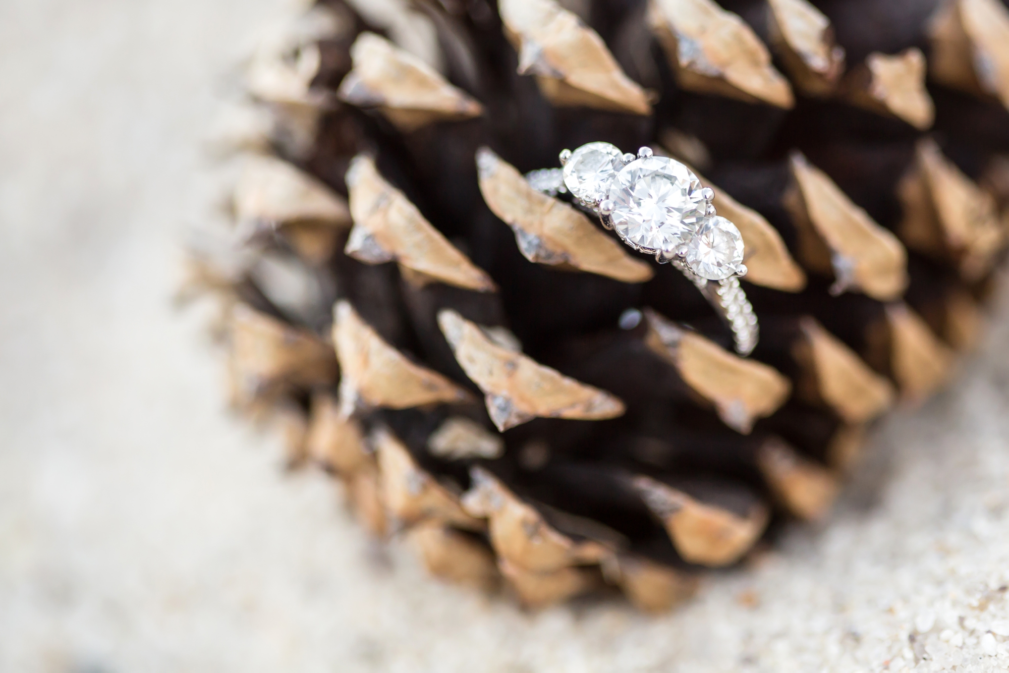 Joy & Denny Engagement-92_anna grace photography virginia engagement photographer yorktown beach.jpg