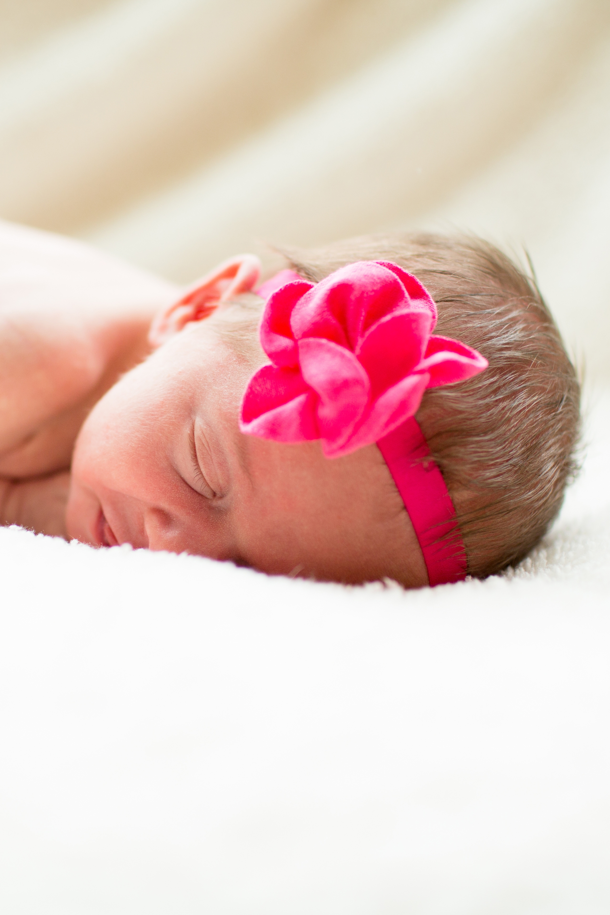 Sadie Newborn 2015-5.jpg