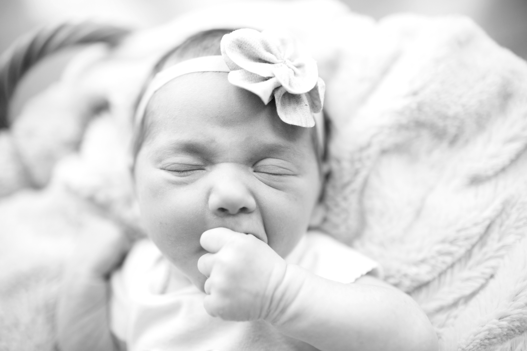 Sadie Newborn 2015-24.jpg