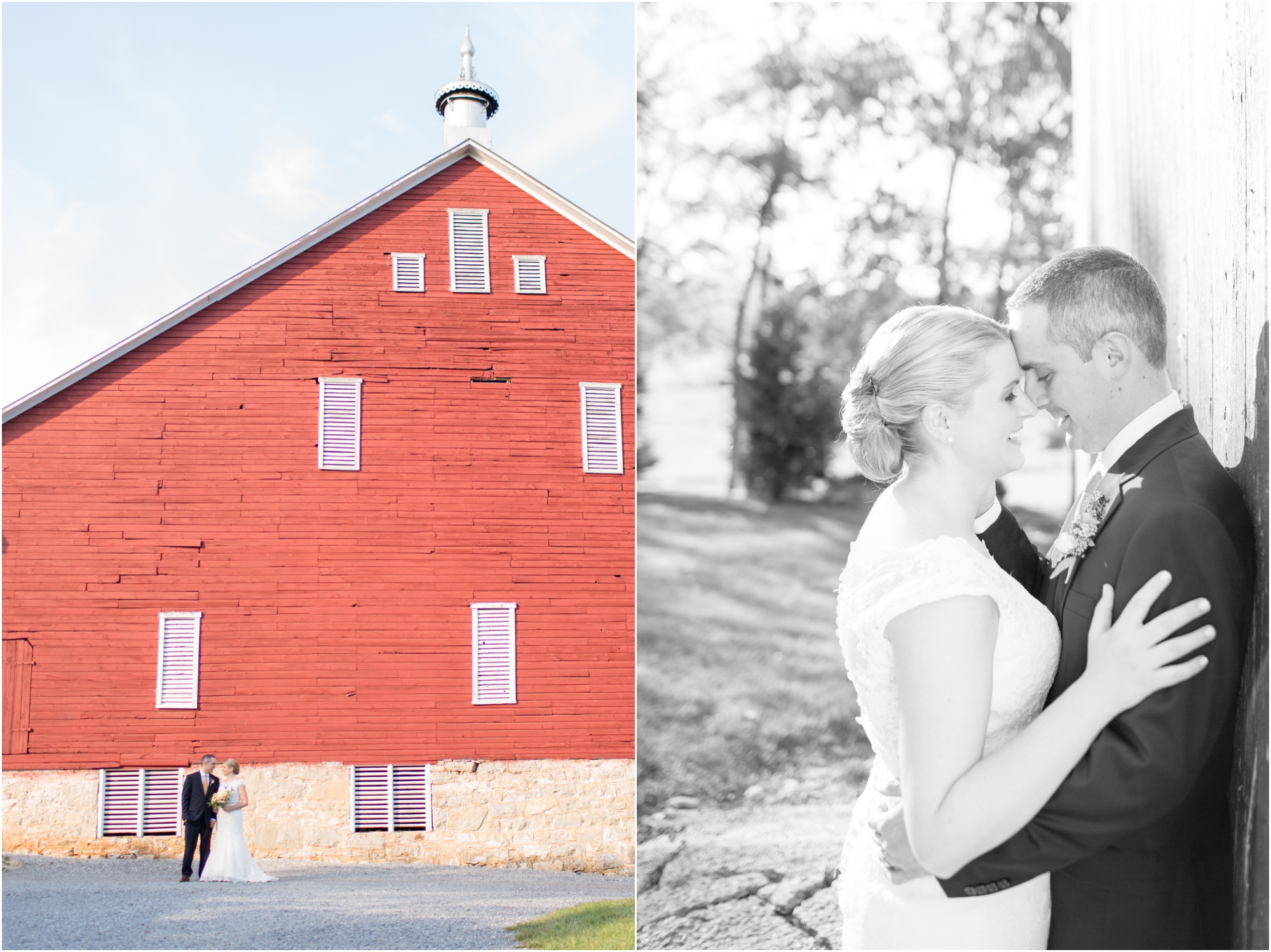 3-Miano Wedding Bride & Groom Portraits-608_anna grace photography maryland wedding photographer rockland estates.jpg