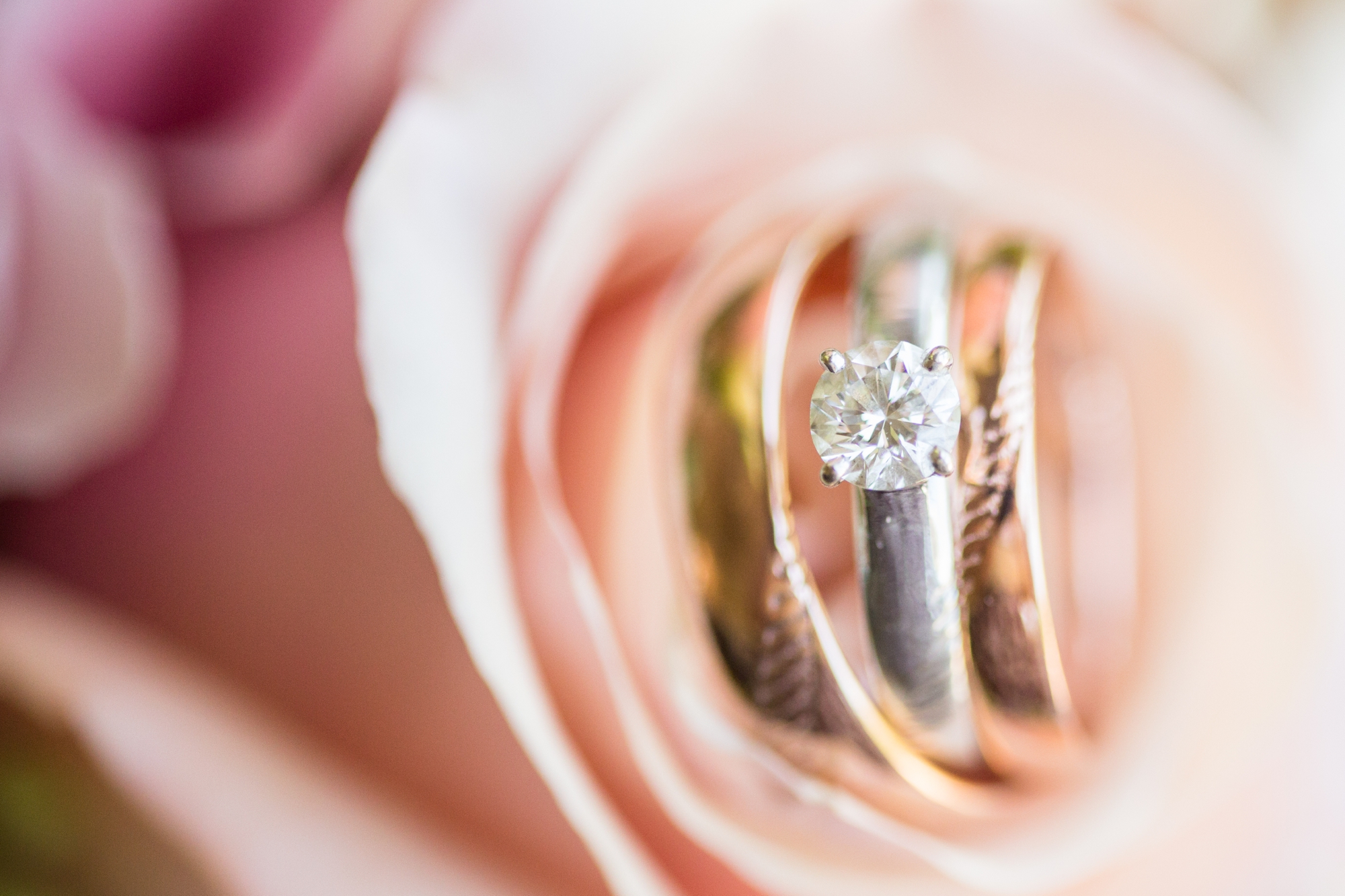 1-Tucker Wedding Getting Ready-63_anna grace photography virginia wedding photographer sinkland farms.jpg