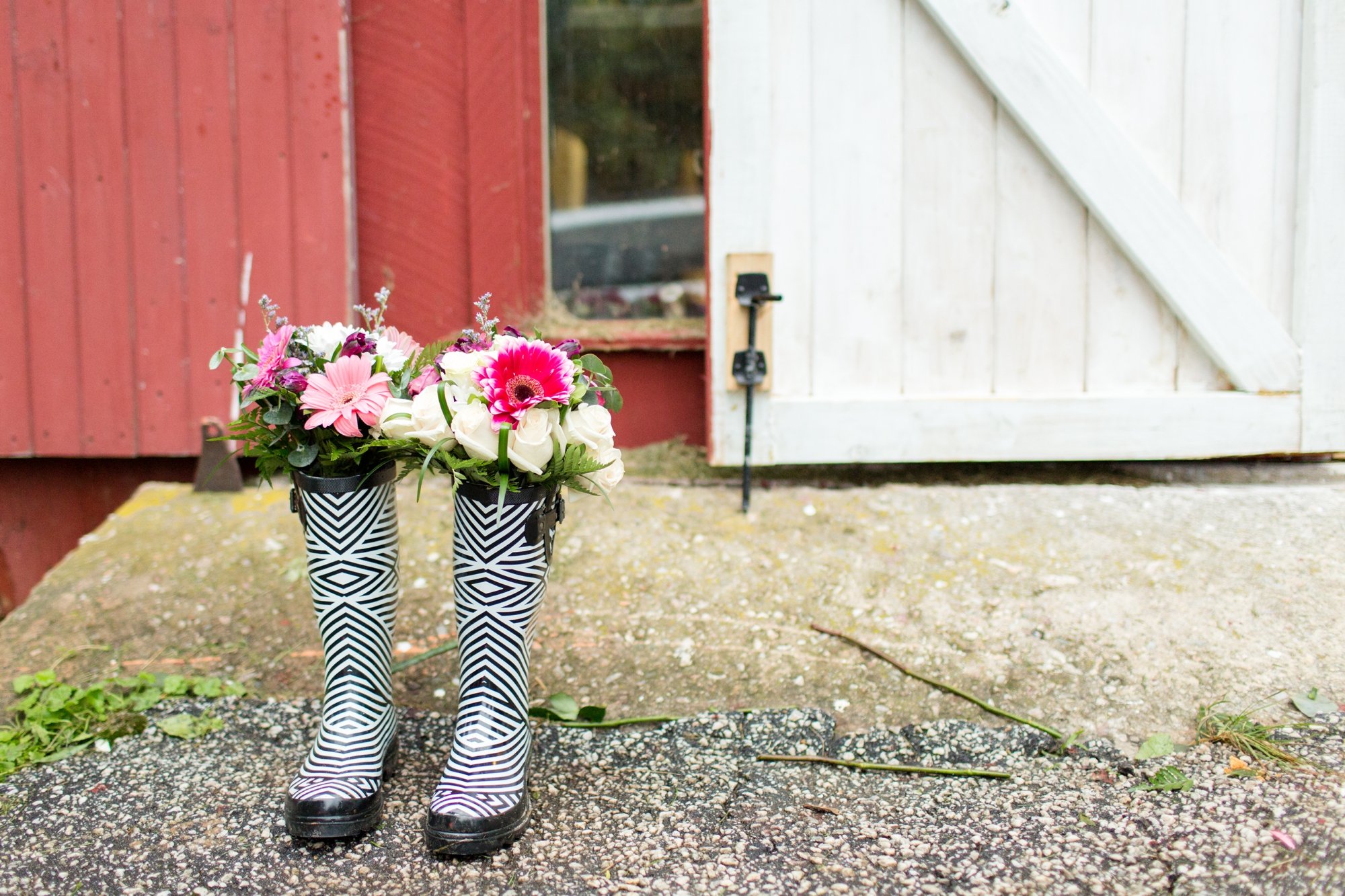 6-Hamby Wedding Reception-761_annagracephotography maryland wedding photographer genesee valley.jpg