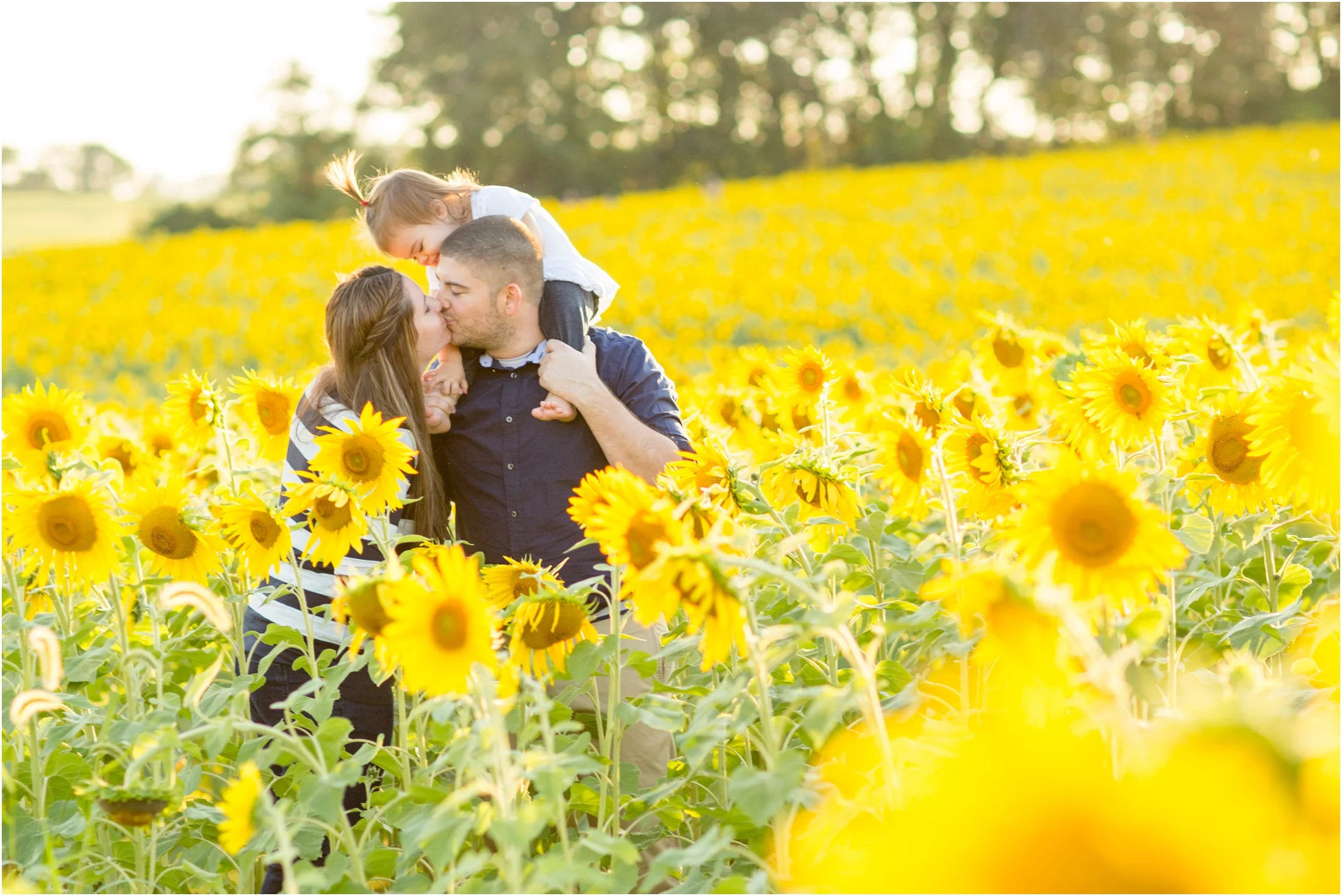 LAYLA {Sunflower Field}