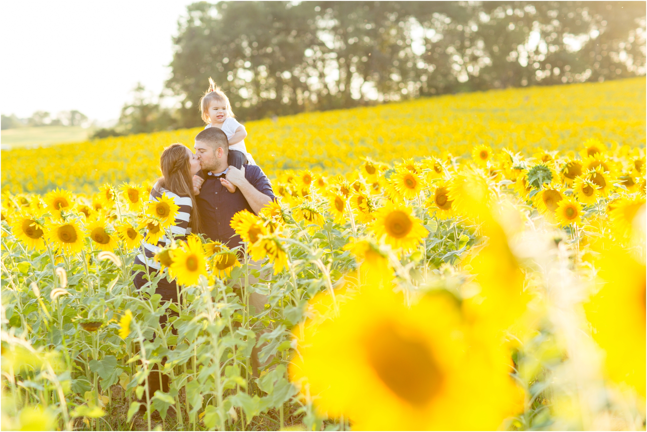 Jenny-Nick-Sunflowers-98.jpg