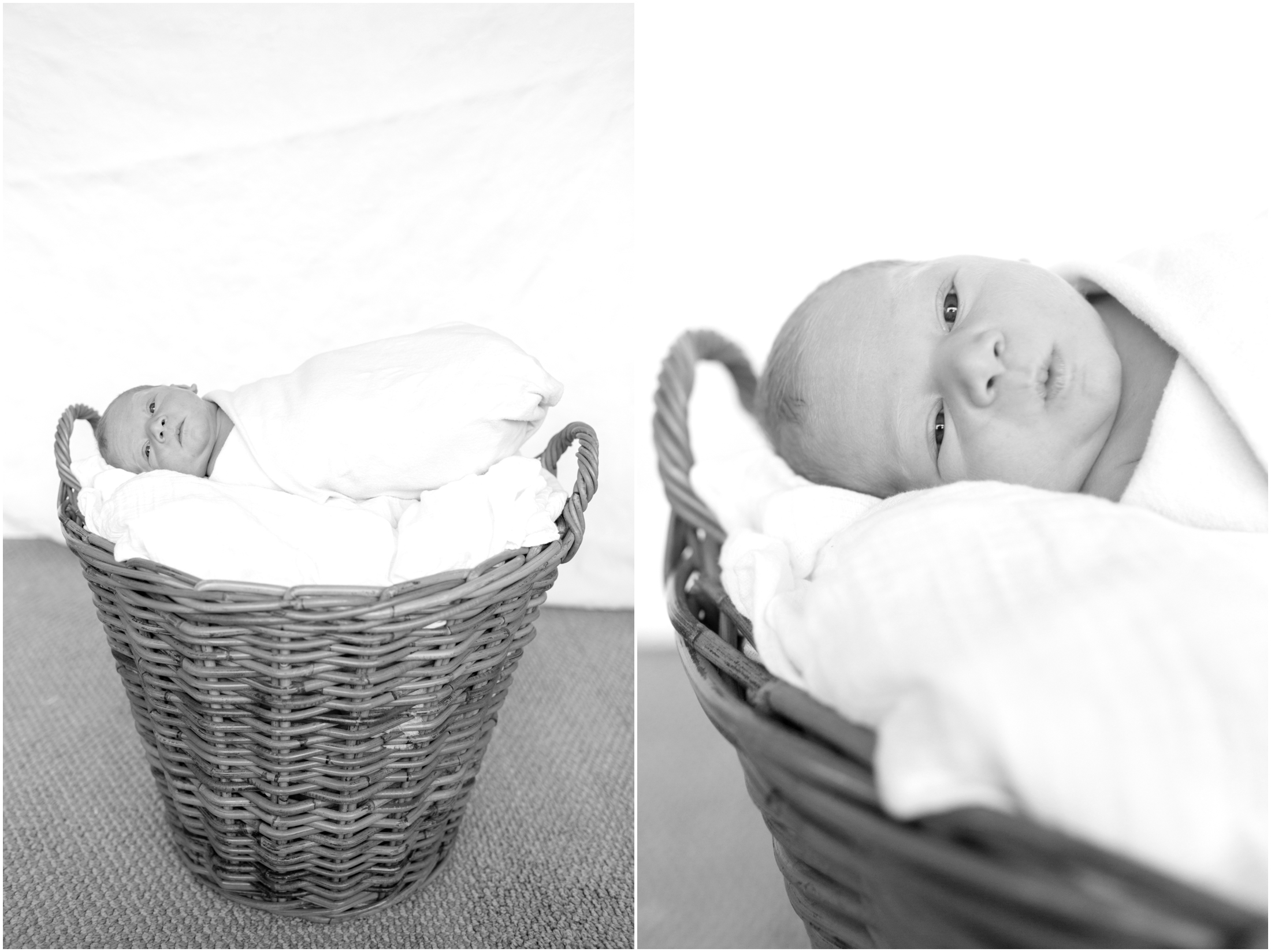 Richa-Newborn-2014-99.jpg
