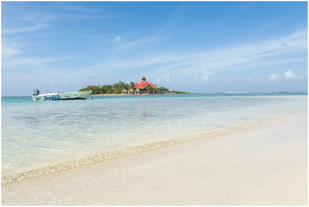 Teal Tuesday: Jamaica Mon