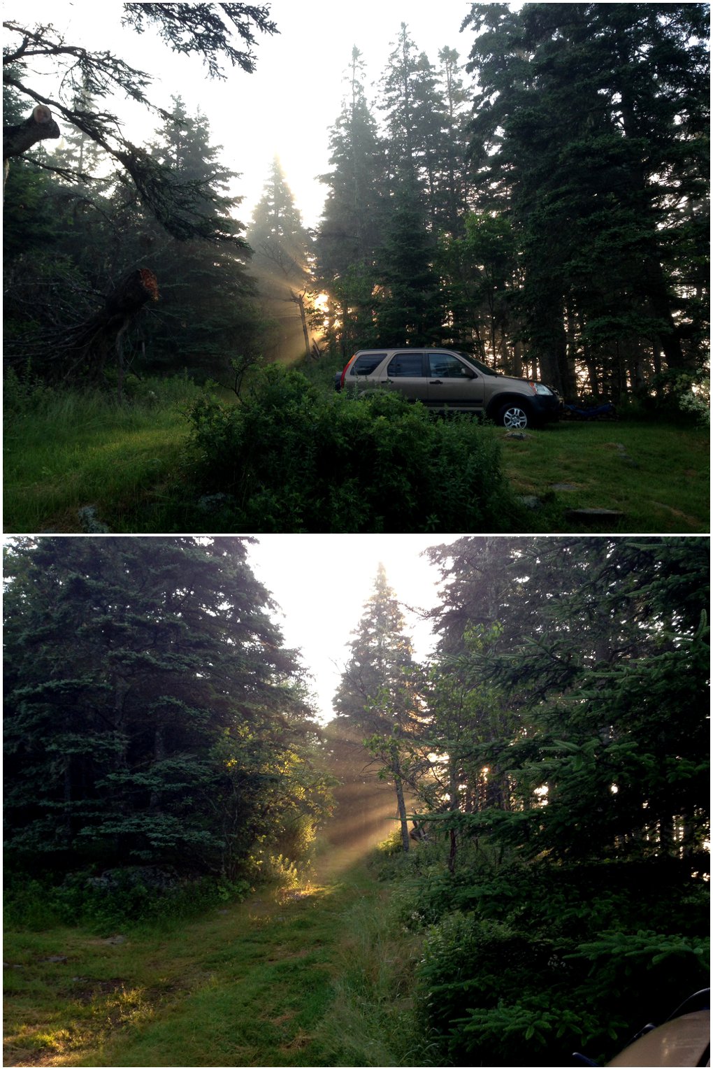     Sunrise pictures my dad took the morning of the proposal! 