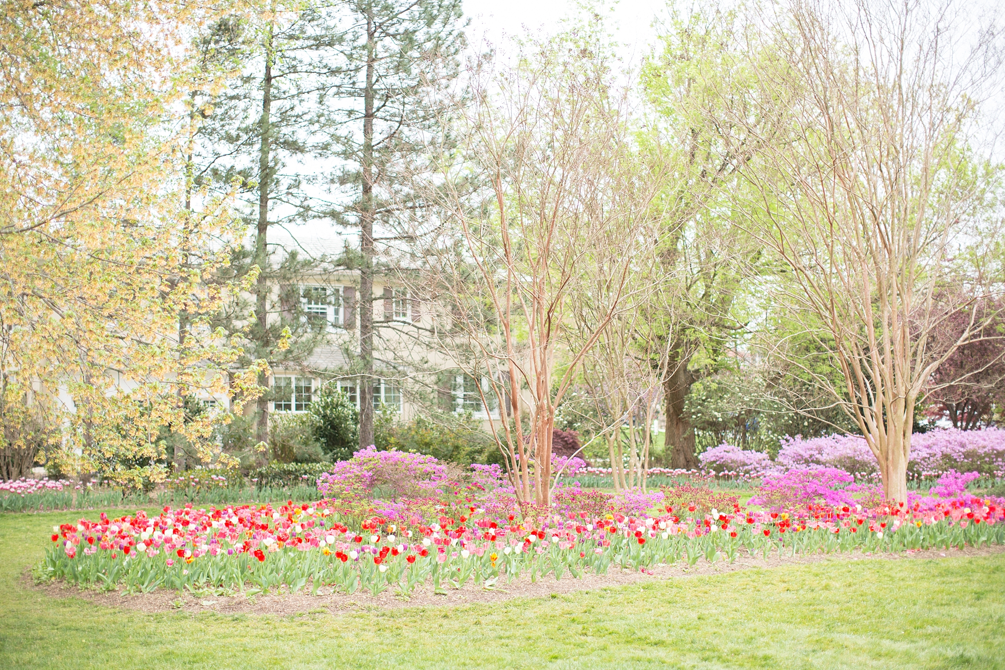 Ellingsworth Family-3_anna grace photography maryland family photographer sherwood gardens photo.jpg