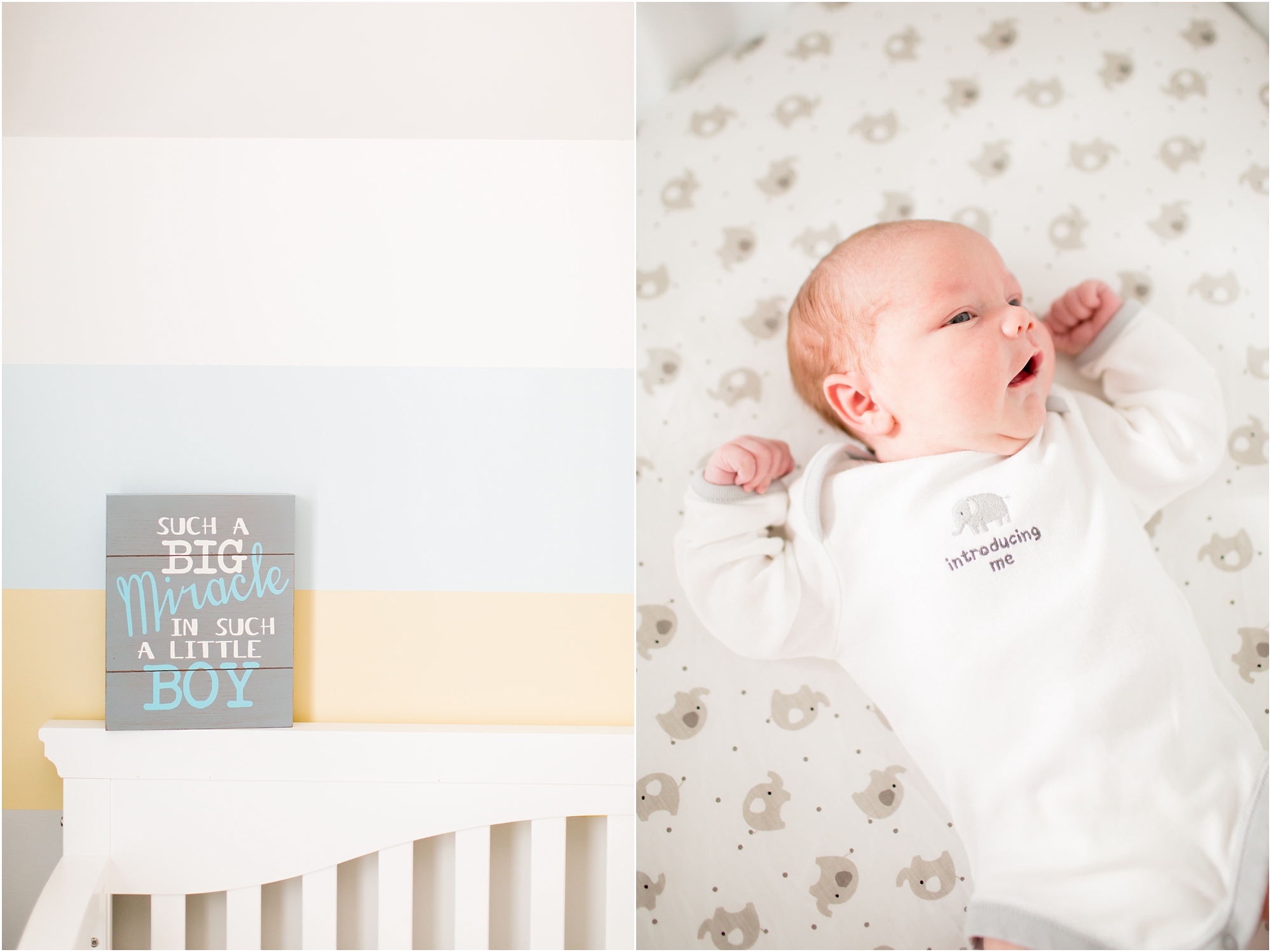 Jacobson Newborn-4_anna grace photography virginia newborn photographer photo.jpg