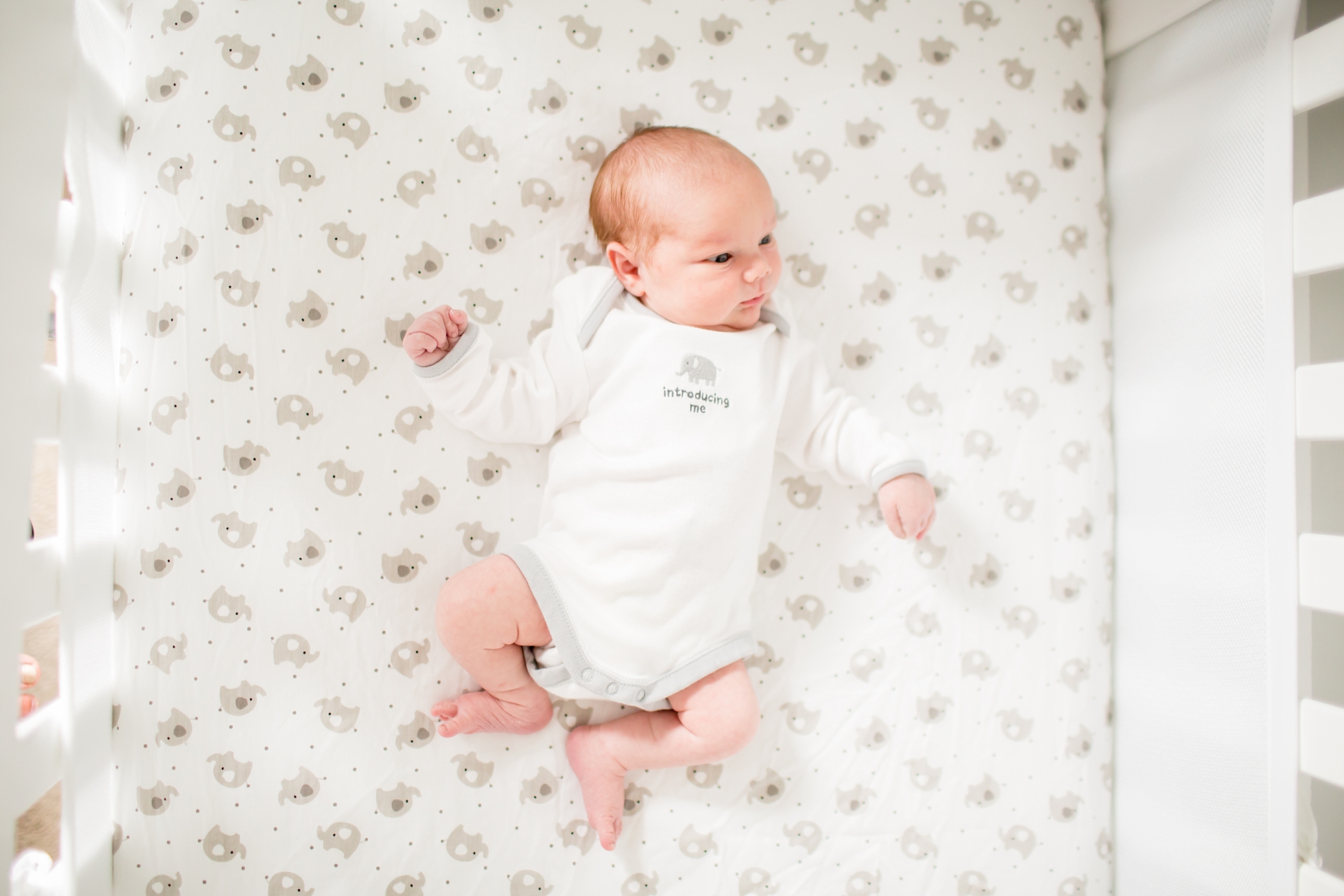 Jacobson Newborn-25_anna grace photography virginia newborn photographer photo.jpg