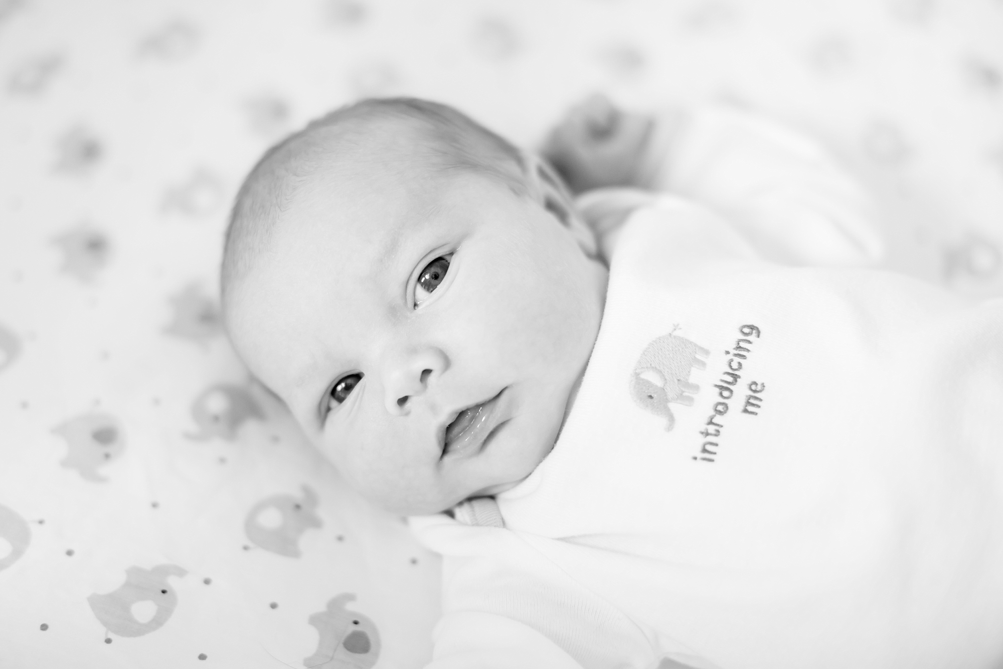 Jacobson Newborn-34_anna grace photography virginia newborn photographer photo.jpg