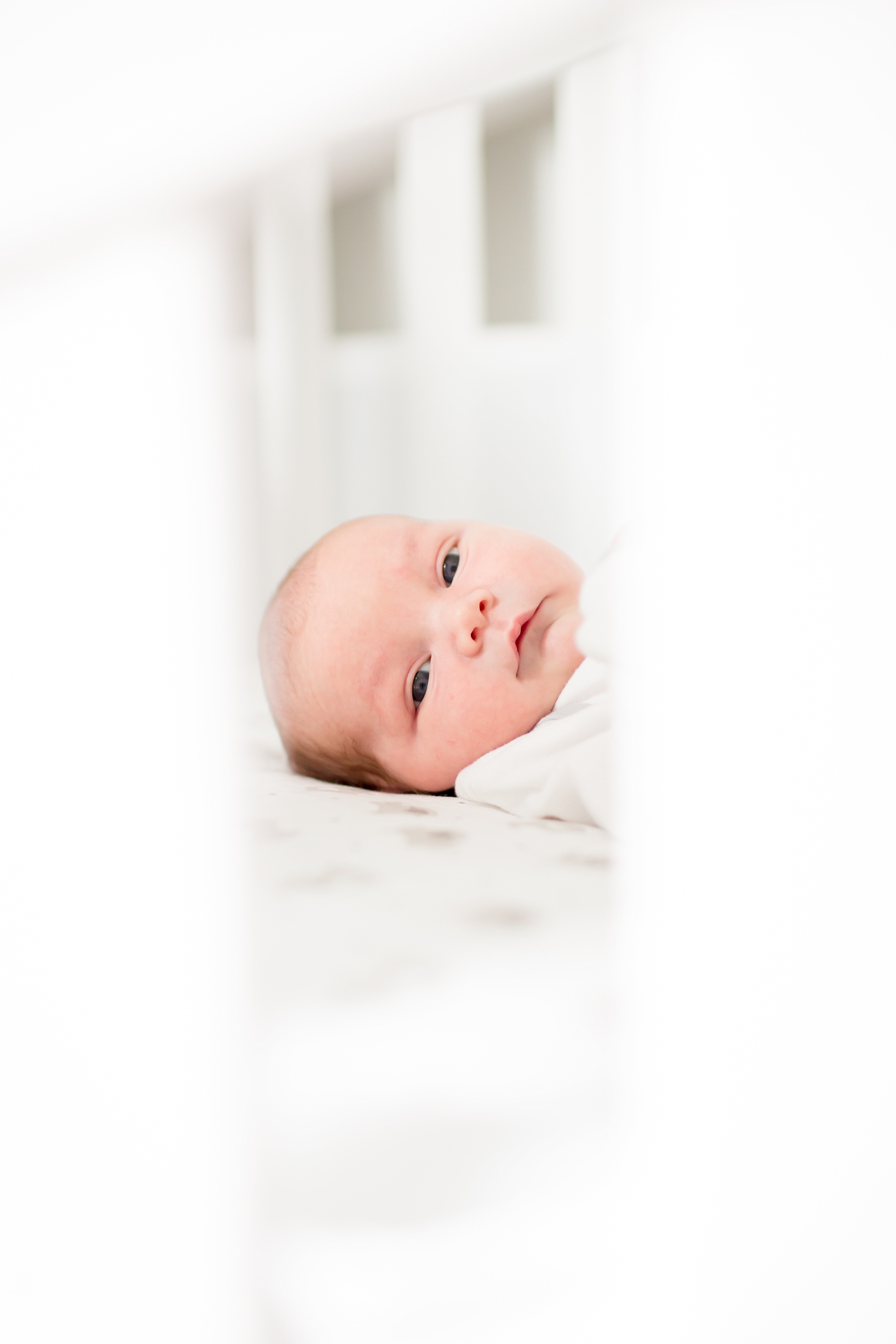 Jacobson Newborn-29_anna grace photography virginia newborn photographer photo.jpg