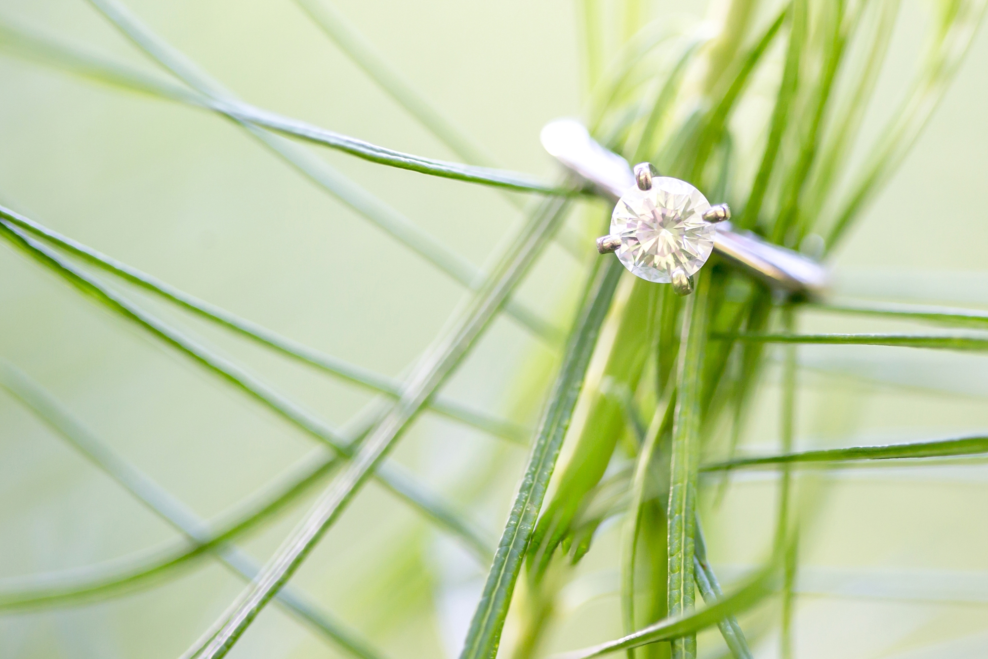 Clare & Nick Engagement-86_anna grace photography brookside gardens maryland engagement photographer photo.jpg