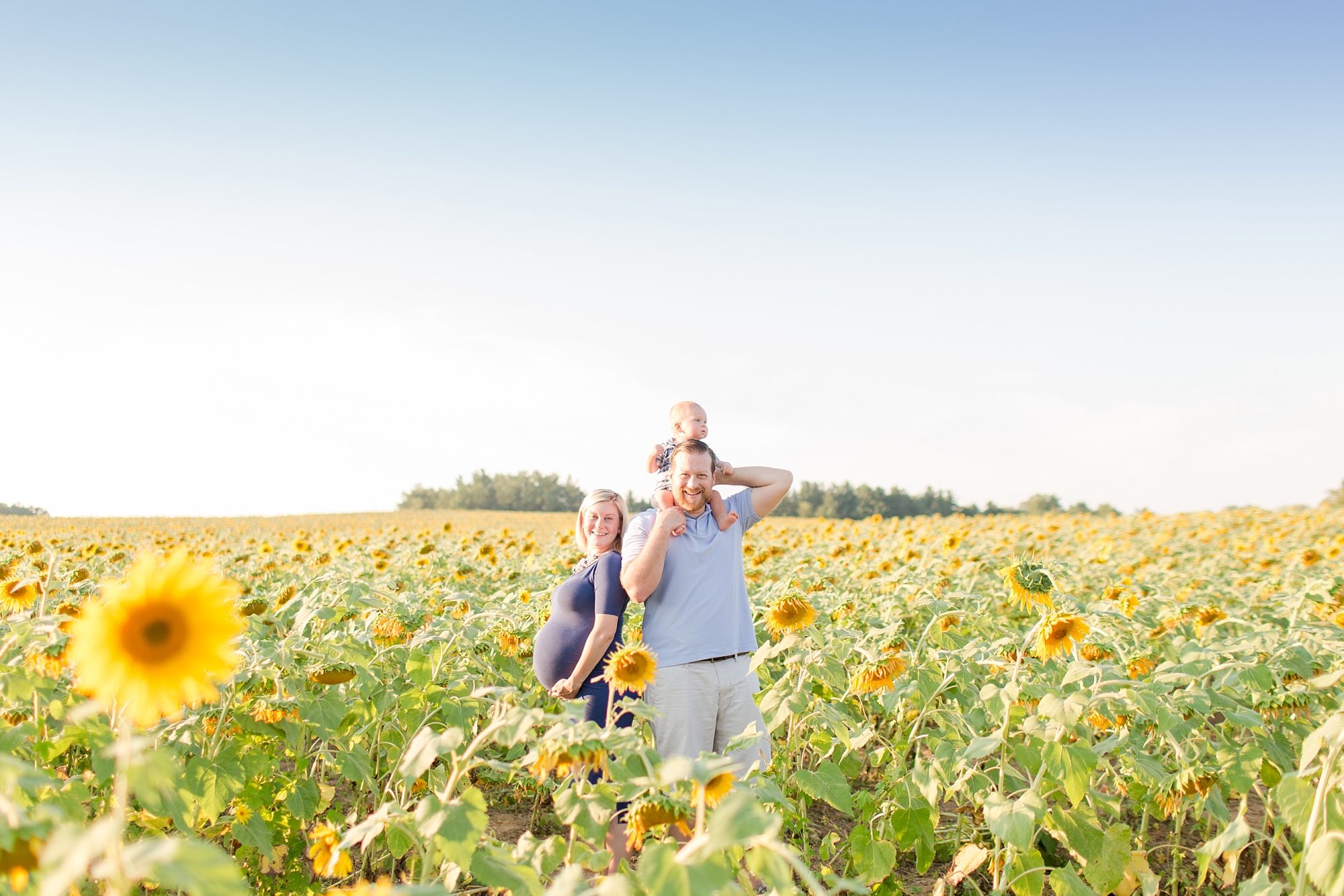 Andrews Family 2016-123_anna grace photography baltimore maryland maternity family photographer sunflower field photo.jpg