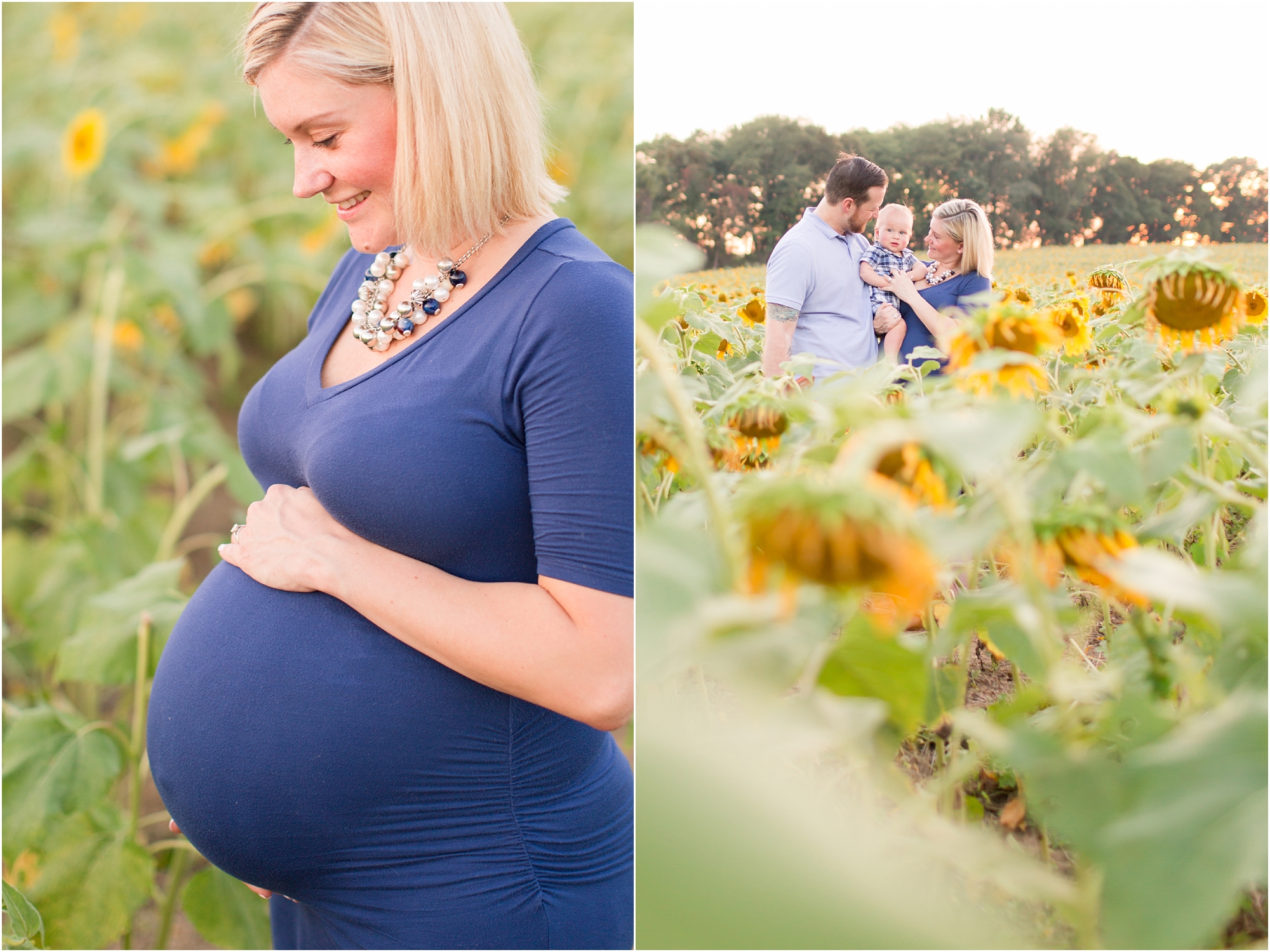 Andrews Family 2016-275_anna grace photography baltimore maryland maternity family photographer sunflower field photo.jpg