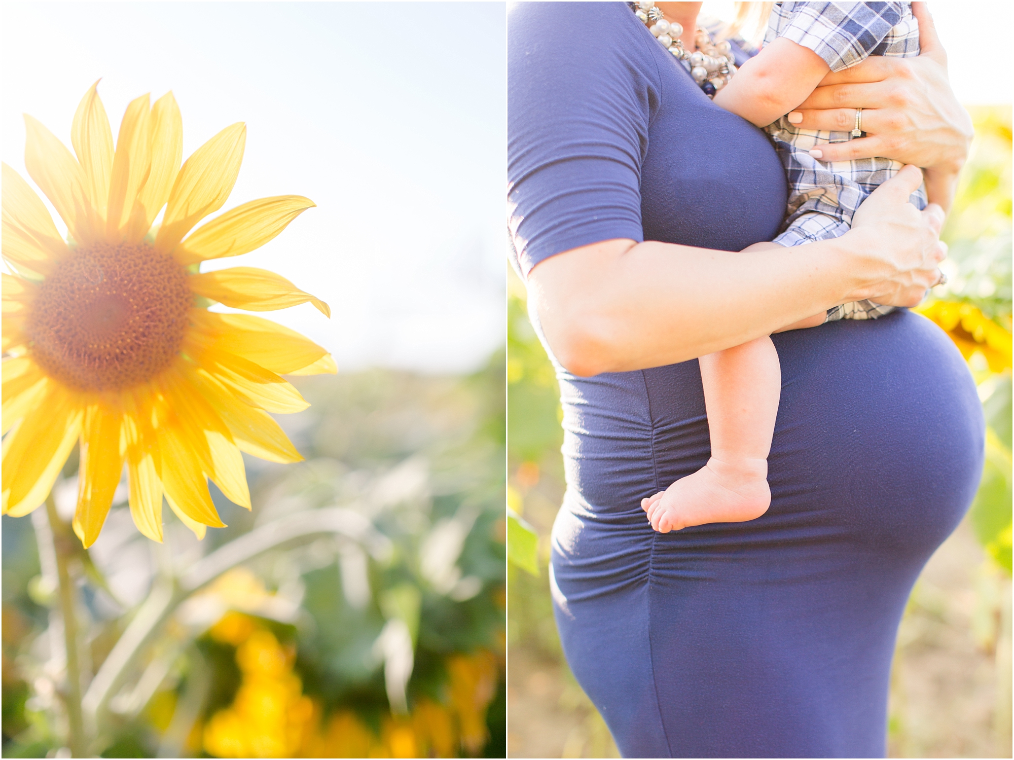 Andrews Family 2016-4_anna grace photography baltimore maryland maternity family photographer sunflower field photo.jpg