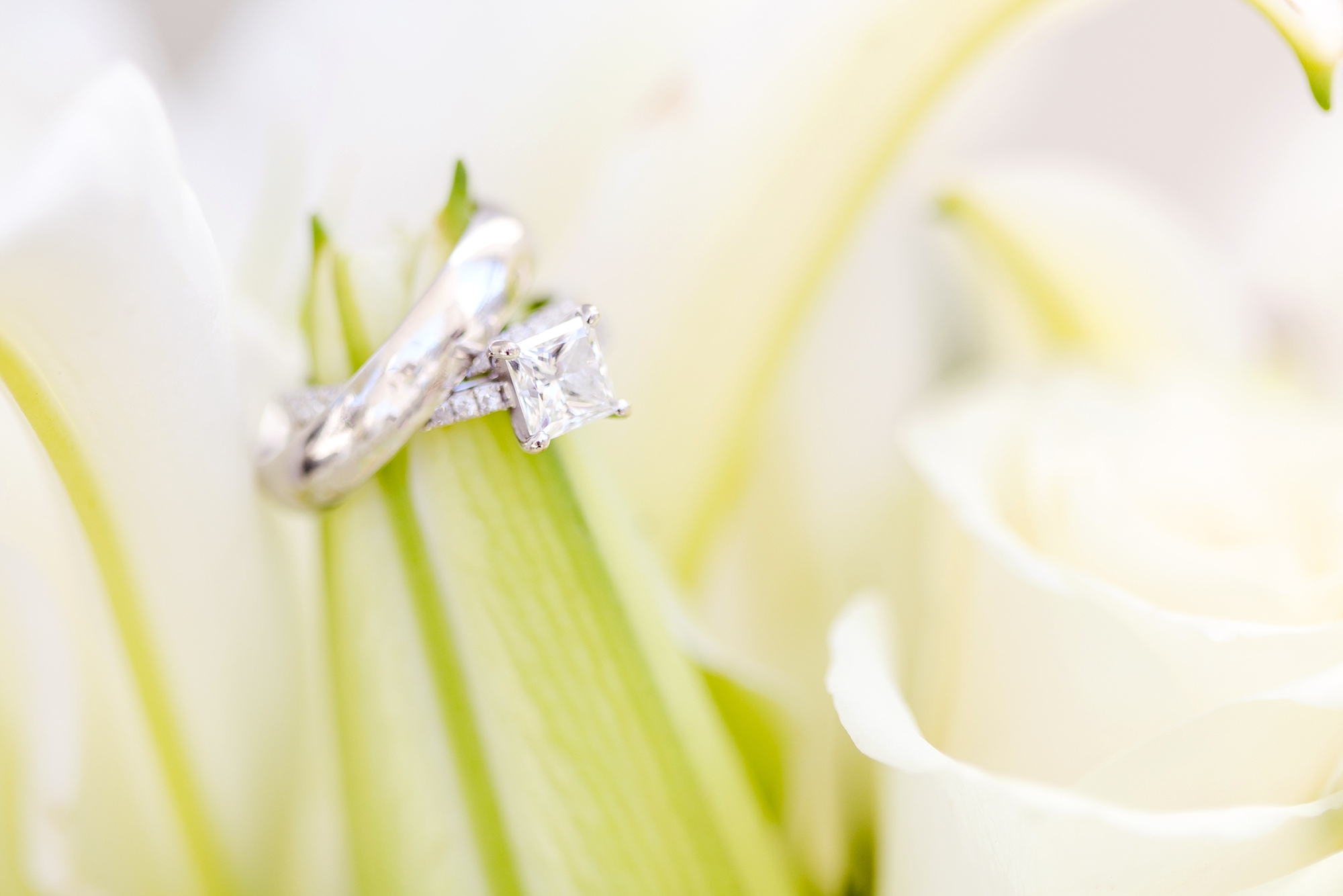 Diers 1-Getting Ready-397_anna grace photography charlotte north carolina wedding photographer photo.jpg