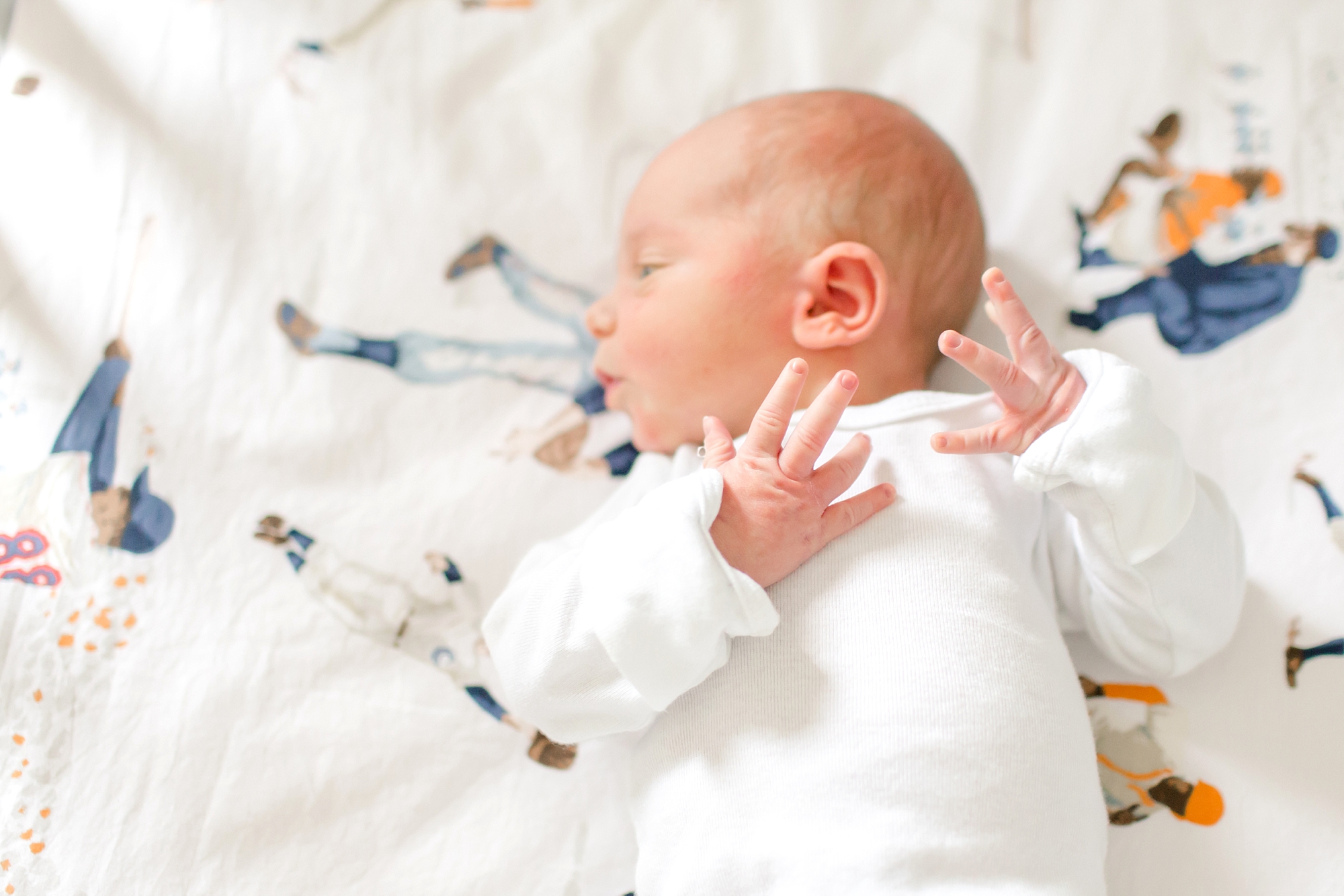 Maple Newborn 2016-71_anna grace photography baltimore maryland newborn and family photographer photo.jpg