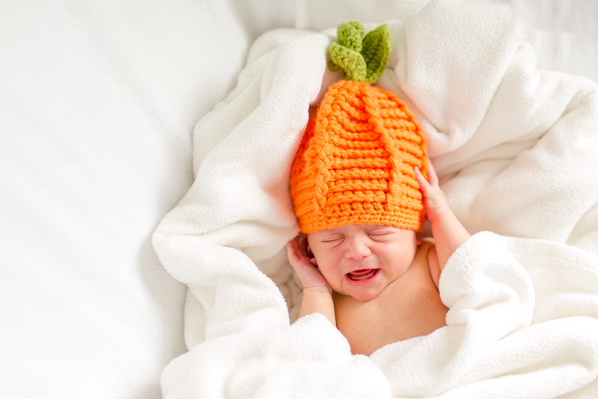  Cal wasn't the biggest fan of the pumpkin hat! Poor guy, he looked so cute in it! 