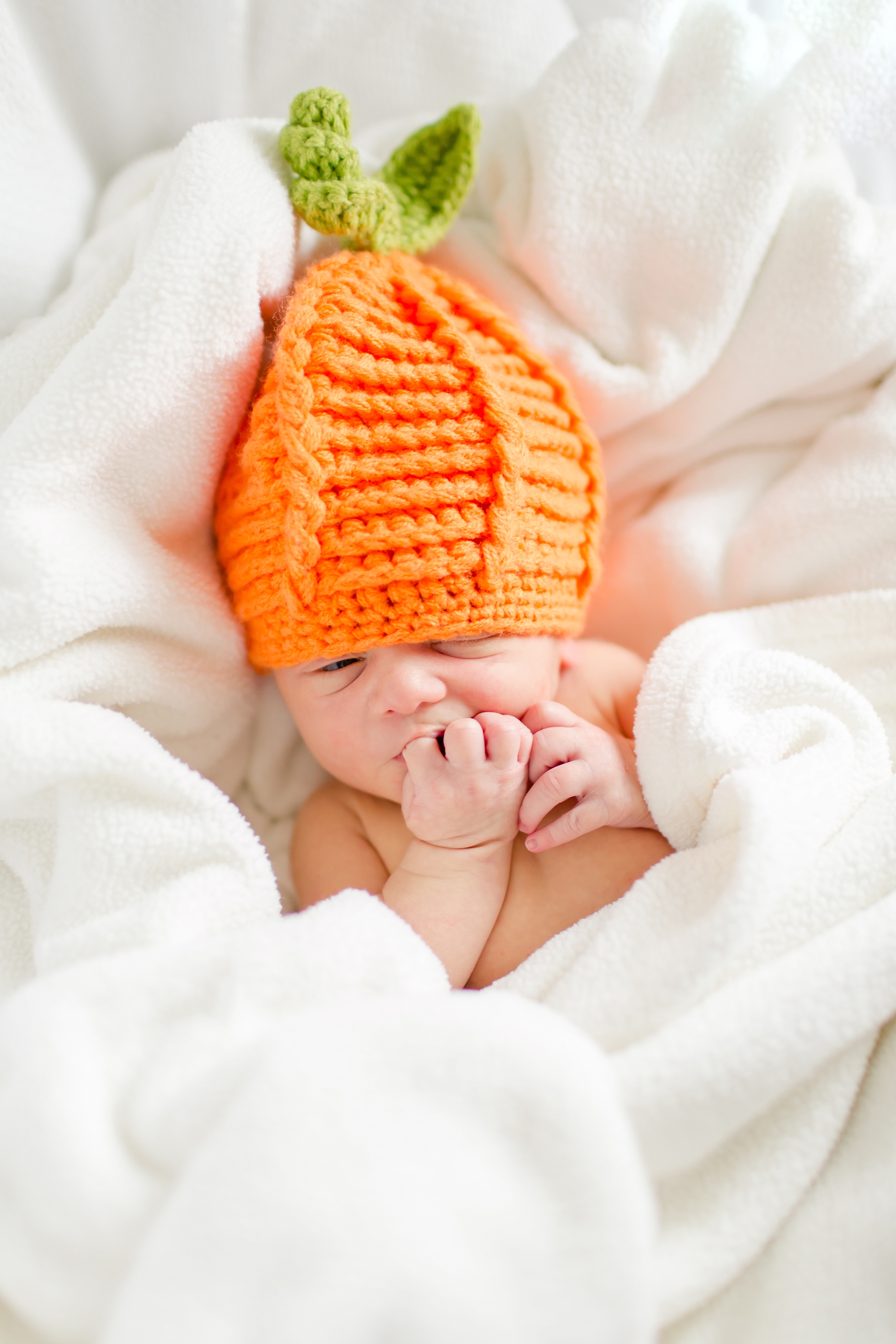 Maple Newborn 2016-146_anna grace photography baltimore maryland newborn and family photographer photo.jpg