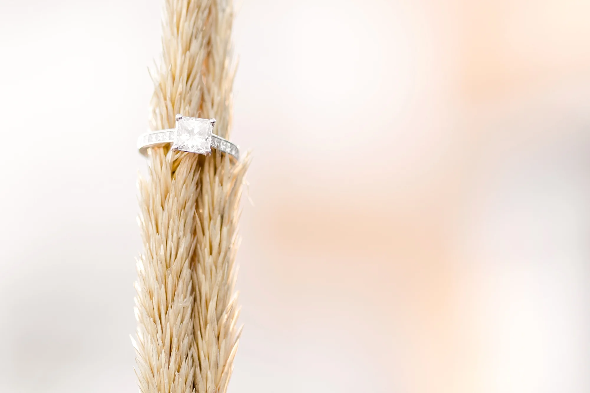 Katie & Chris Engagement-213_anna grace photography bethany beach engagement photographer photo.jpg