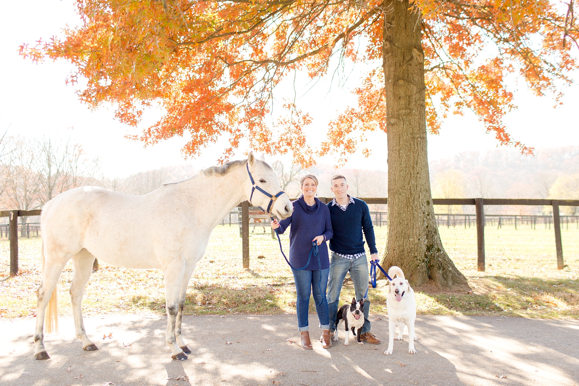 Emily & Joe Engaged-21_anna grace photography baltimore maryland wedding and engagement photographer helmore farm photo.jpg