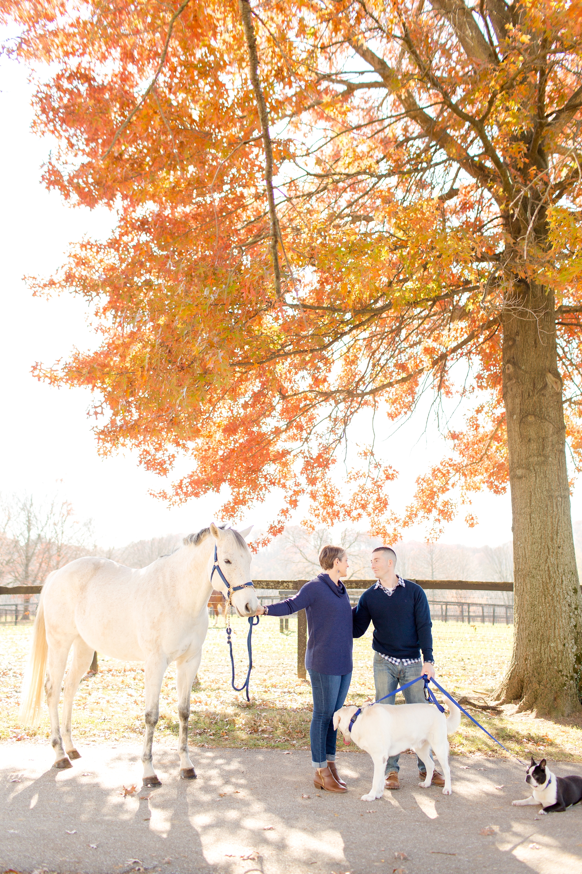 Emily & Joe Engaged-31_anna grace photography baltimore maryland wedding and engagement photographer helmore farm photo.jpg