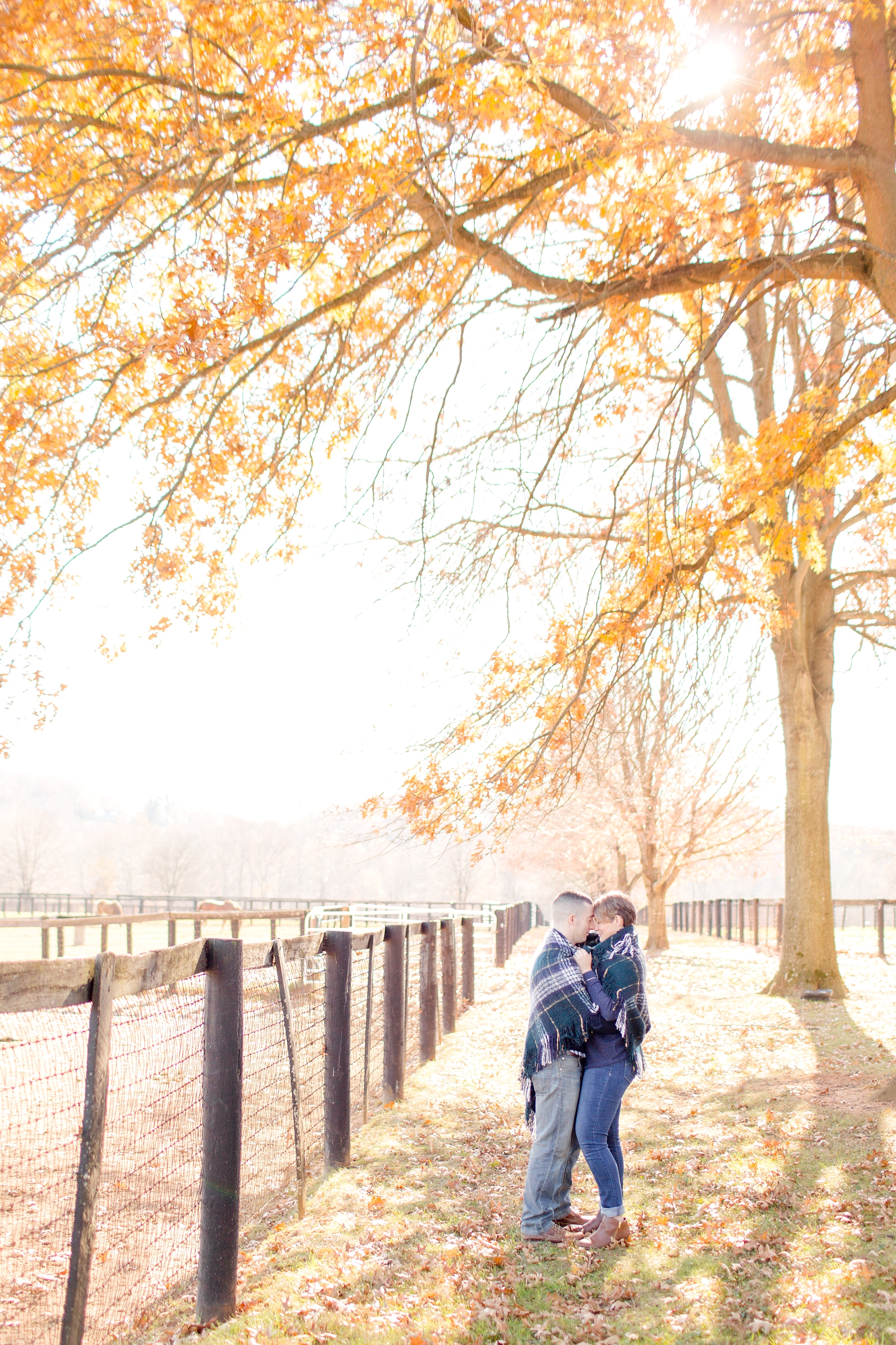 Emily & Joe Engaged-229_anna grace photography baltimore maryland wedding and engagement photographer helmore farm photo.jpg